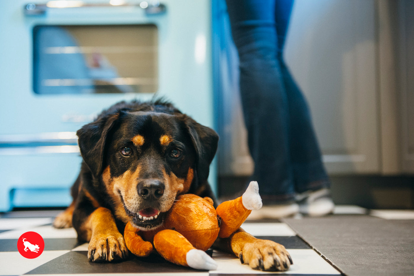 El Pavo Entero - Juguete de Peluche para Perros Holiday Classic™ | Pet P.L.A.Y.