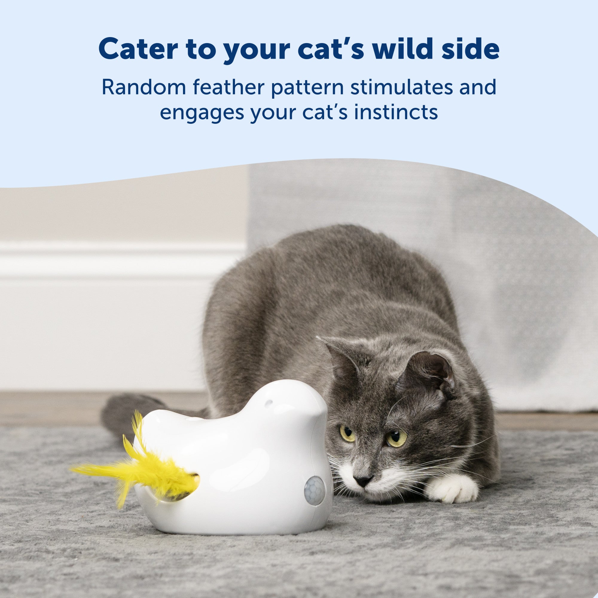 Juguete Electrónico para Gatos Peek-a-Bird™ - Interactivo y Divertido | PetSafe®