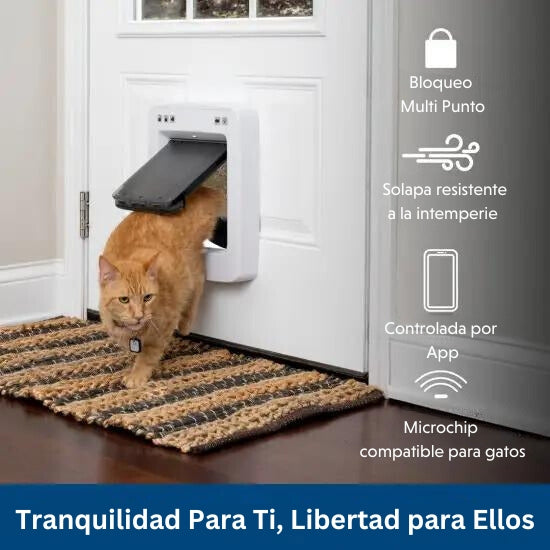 Crearon una puerta inteligente para mascotas - Infobae