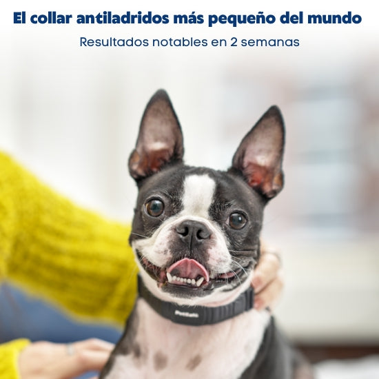 NanoBark Collar - Collar Anti Ladridos