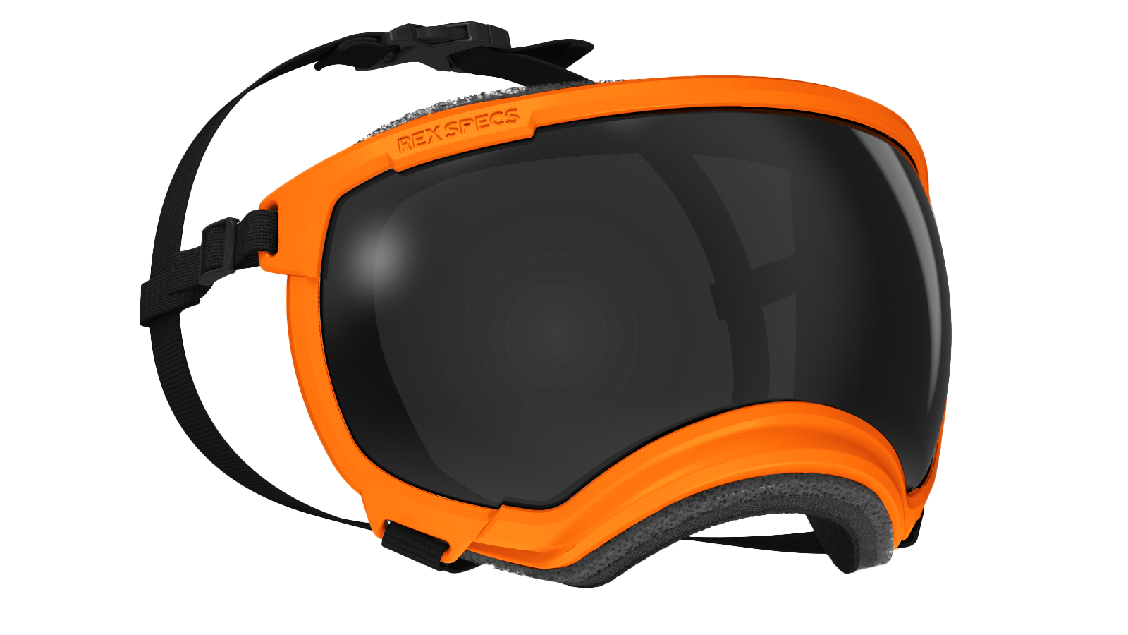 V2 Goggles Rex Specs - Lentes Para Perros Extra Grandes de 37 kg o más