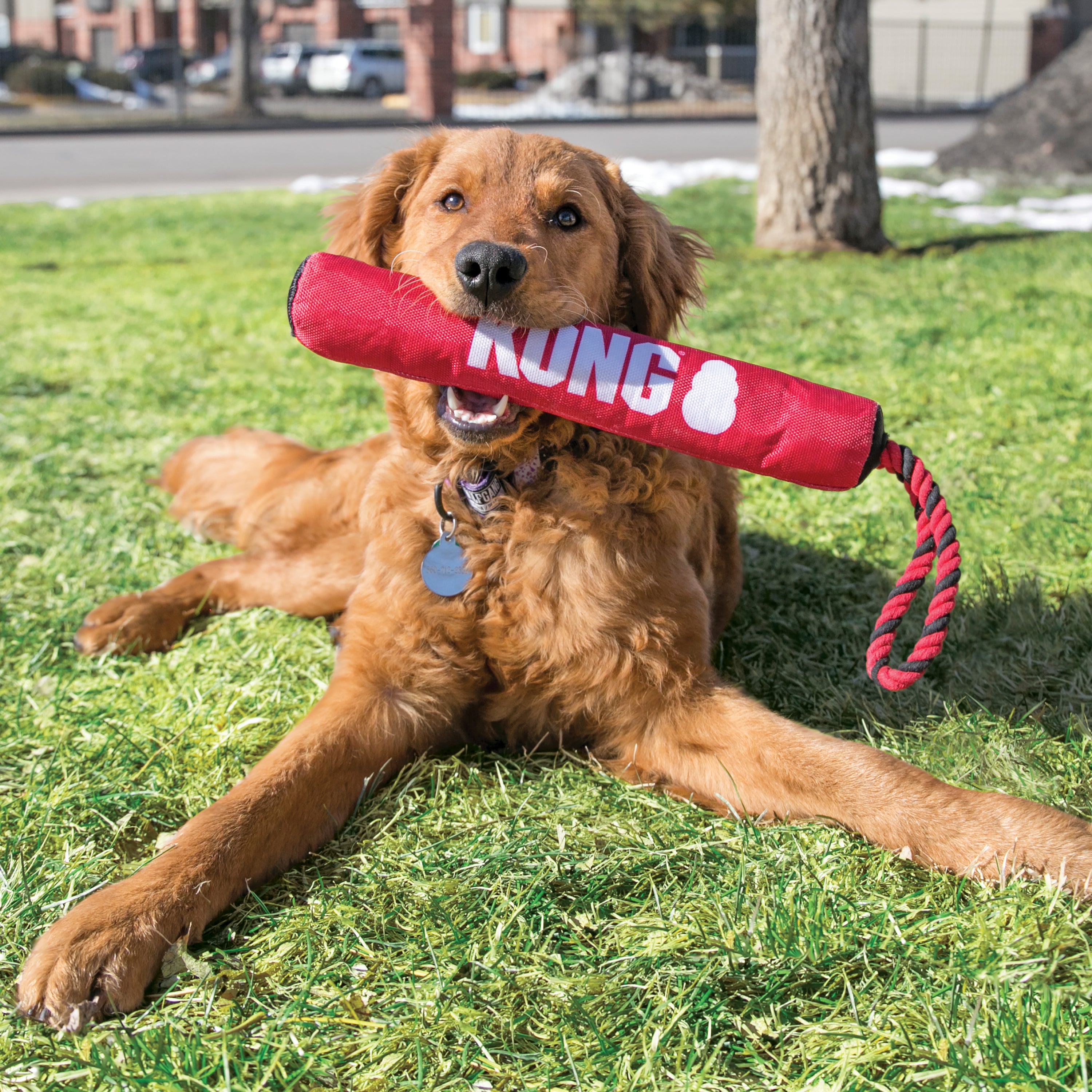 Juguete Resistente KONG Signature Stick con Cuerda para Perros