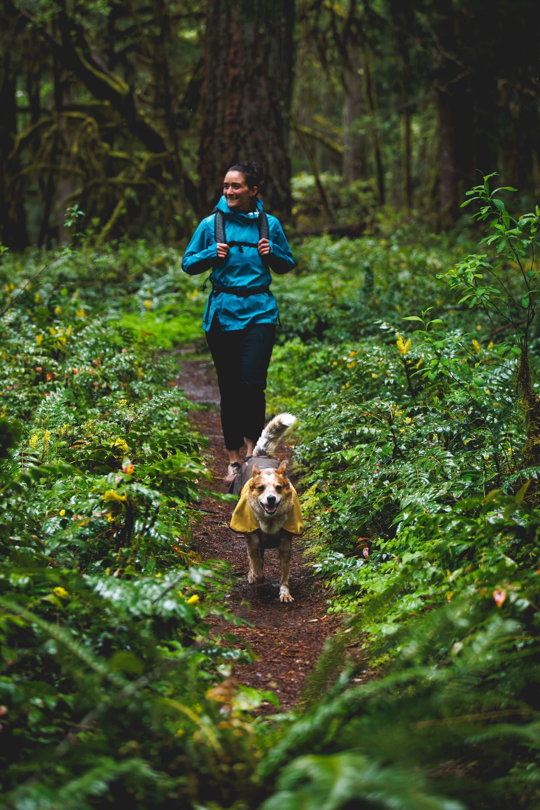 Impermeable Para Perros Sun Shower™ - Resistente al Agua y Viento - Café (Earth Brown) | Ruffwear®