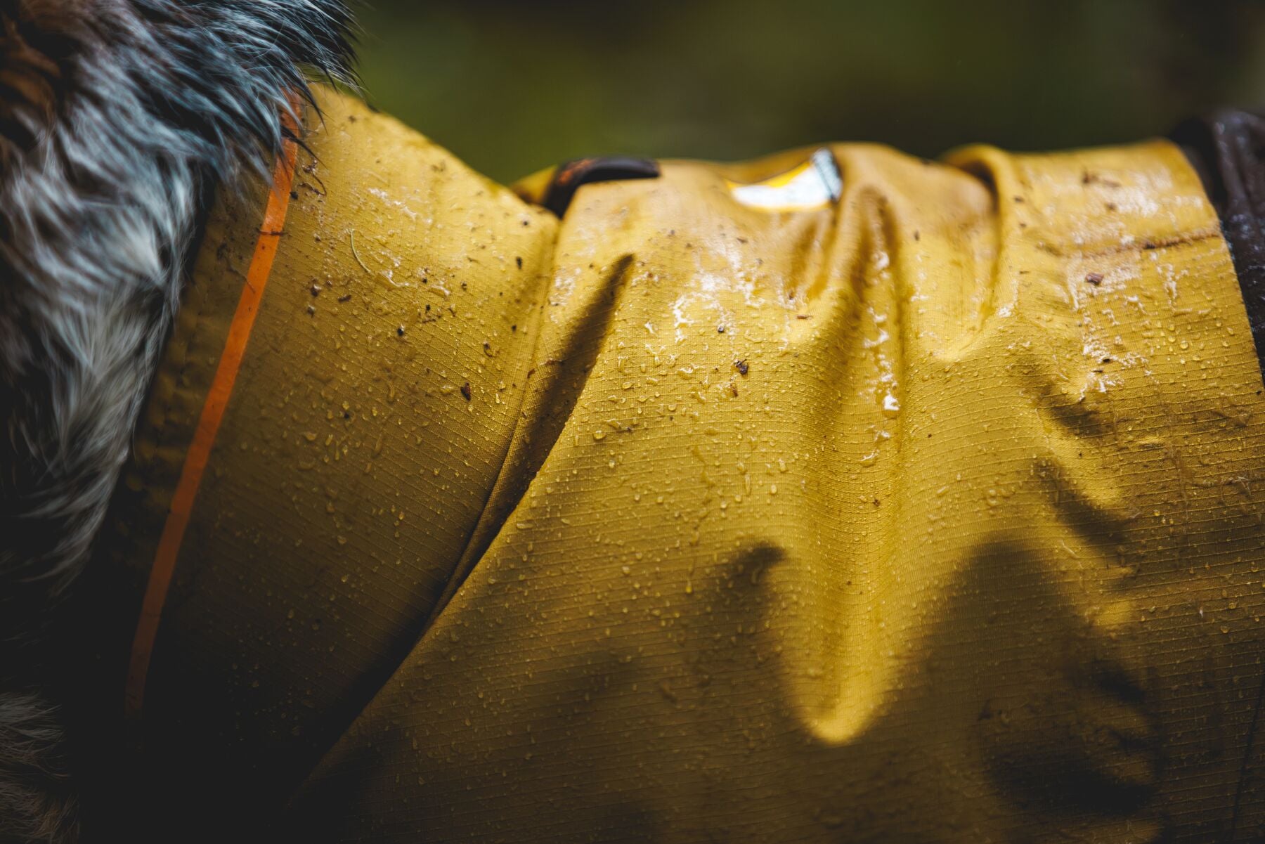 Impermeable Para Perros Sun Shower™ - Resistente al Agua y Viento - Amarillo (Mineral Yellow) | Ruffwear®