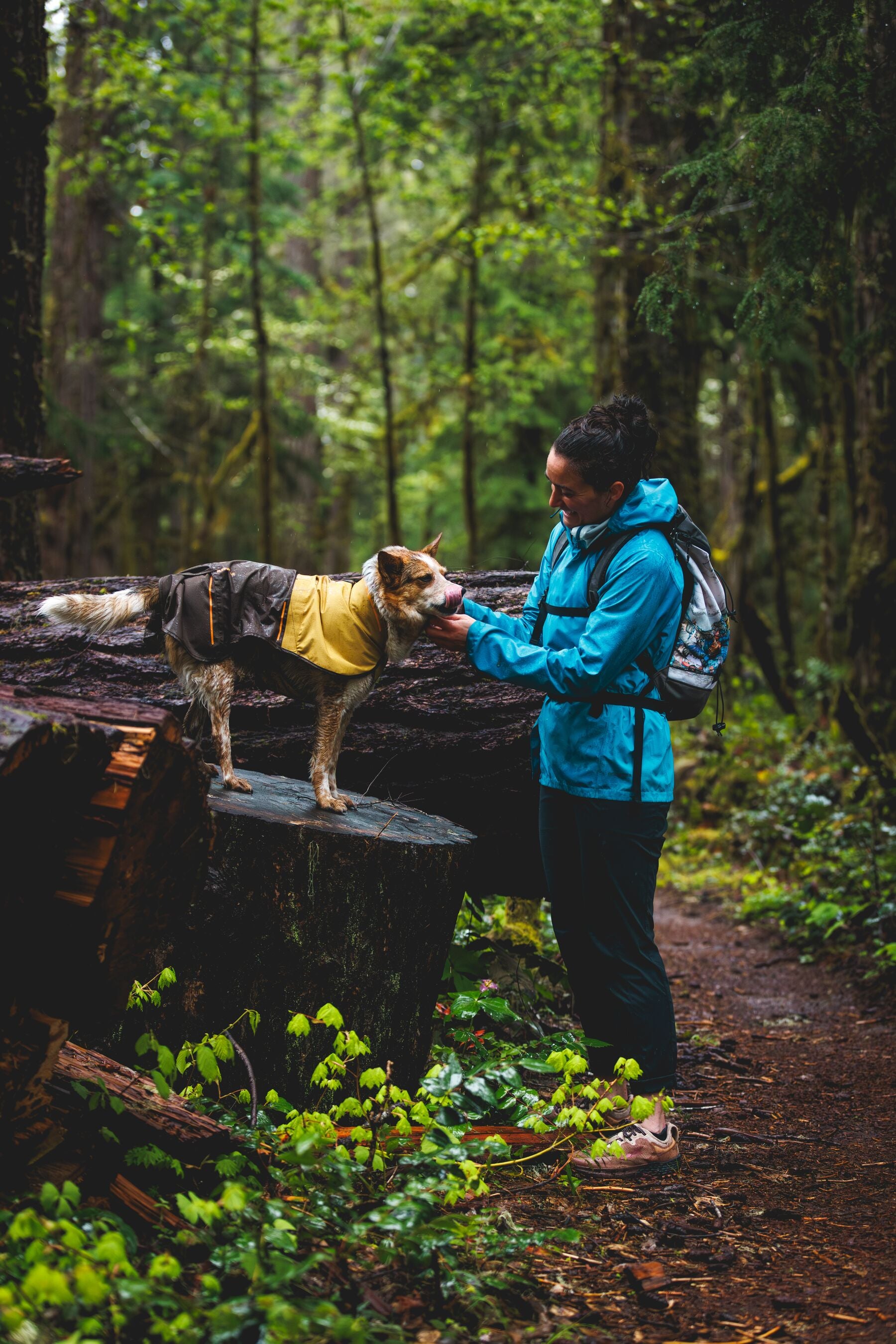 Impermeable Para Perros Sun Shower™ - Resistente al Agua y Viento - Amarillo (Mineral Yellow) | Ruffwear®