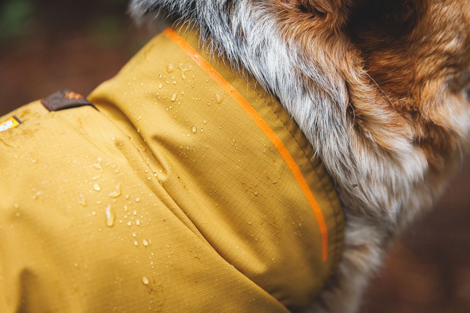 Impermeable Para Perros Sun Shower™ - Resistente al Agua y Viento - Amarillo (Mineral Yellow) | Ruffwear®