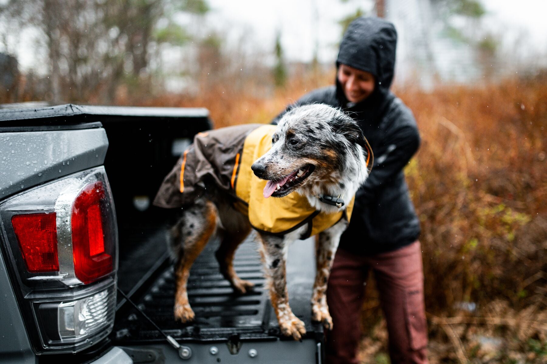 Impermeable Para Perros Sun Shower™ - Resistente al Agua y Viento - Café (Earth Brown) | Ruffwear®