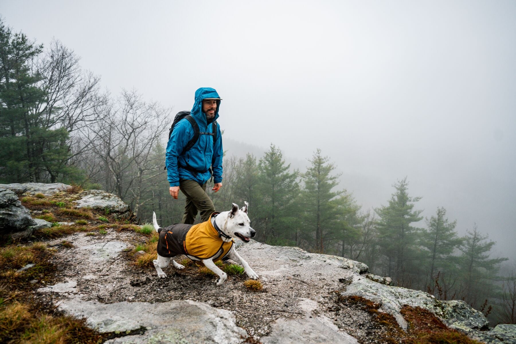 Impermeable Para Perros Sun Shower™ - Resistente al Agua y Viento - Café (Earth Brown) | Ruffwear®