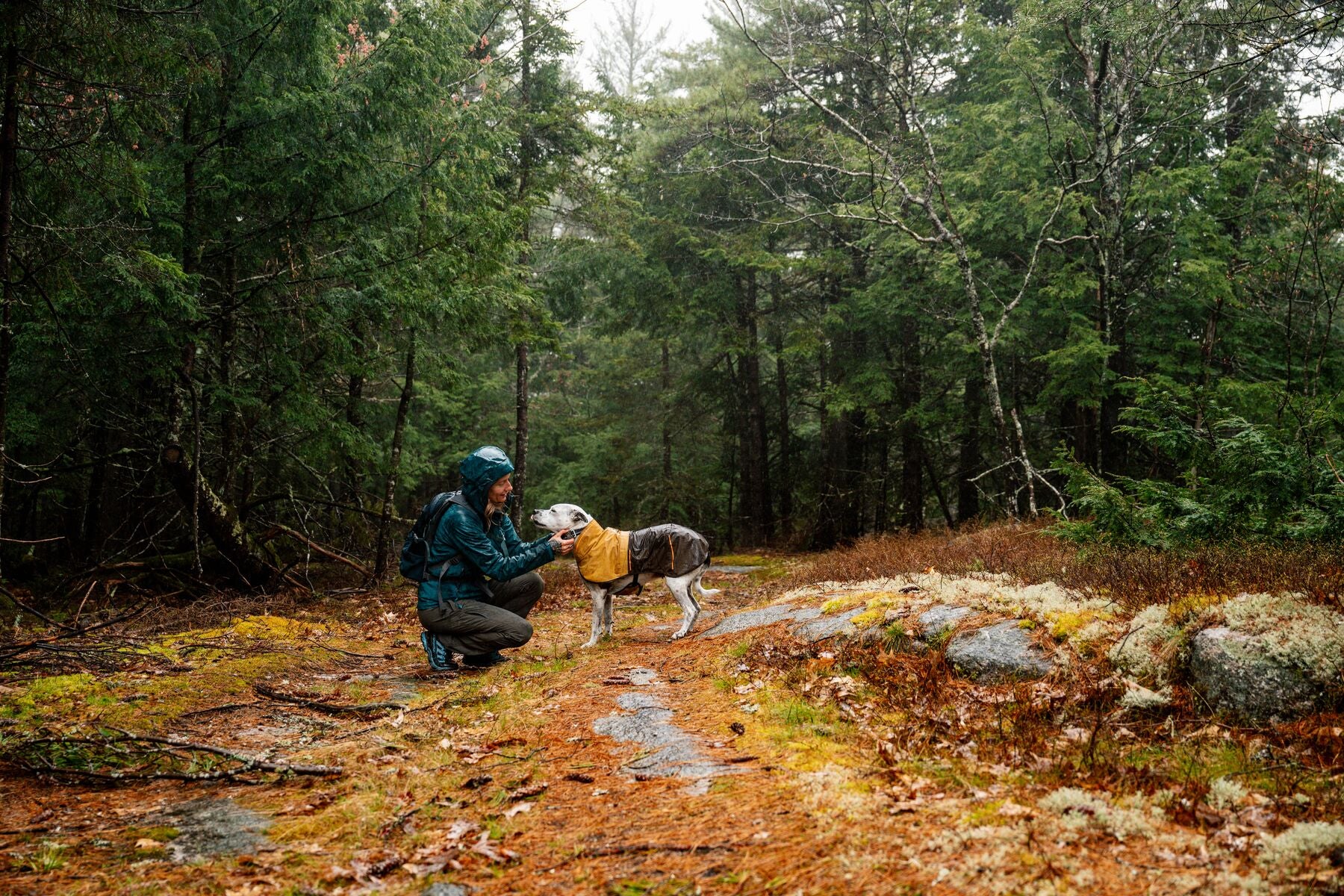 Impermeable Para Perros Sun Shower™ - Resistente al Agua y Viento - Café (Earth Brown) | Ruffwear®