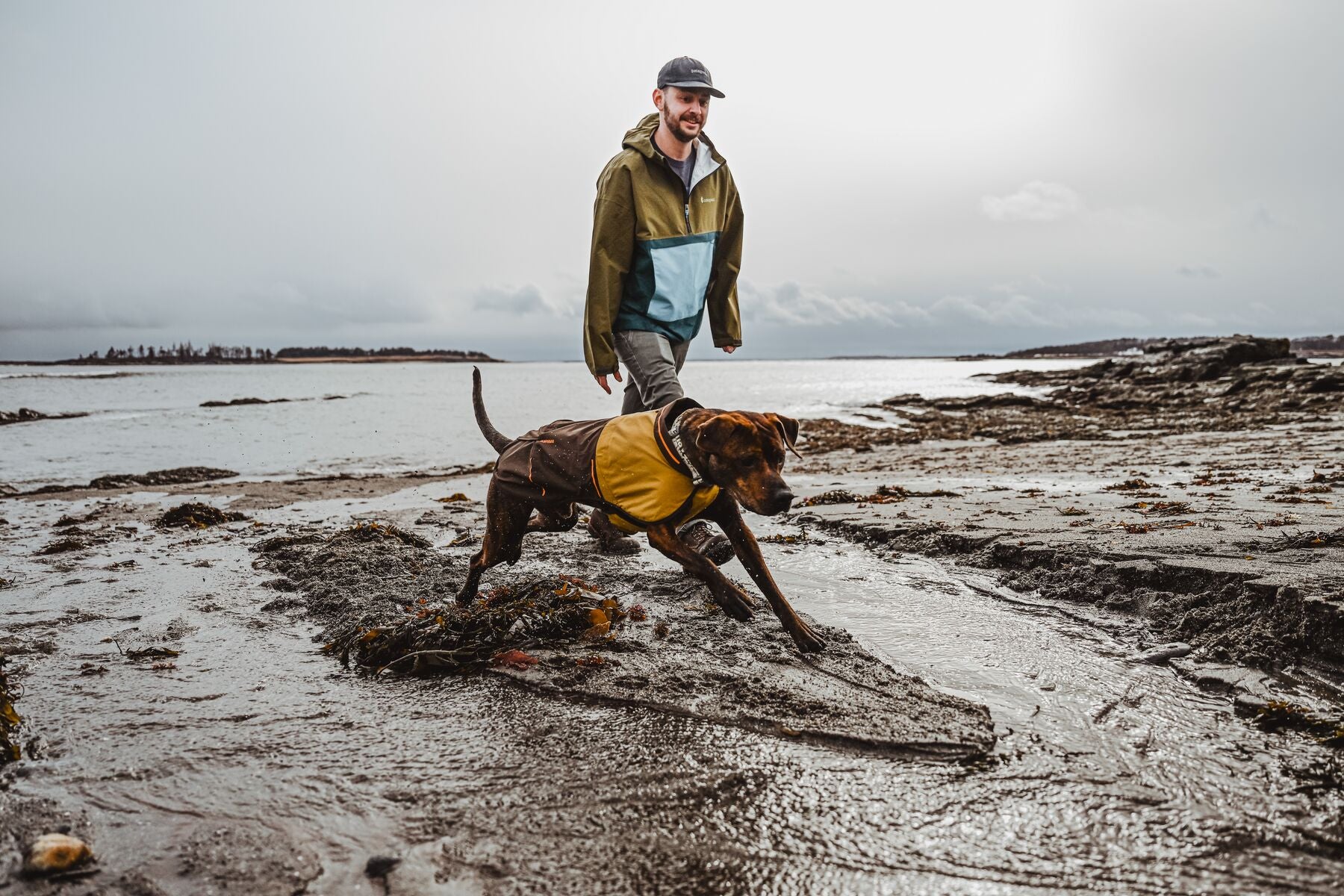 Impermeable Para Perros Sun Shower™ - Resistente al Agua y Viento - Café (Earth Brown) | Ruffwear®