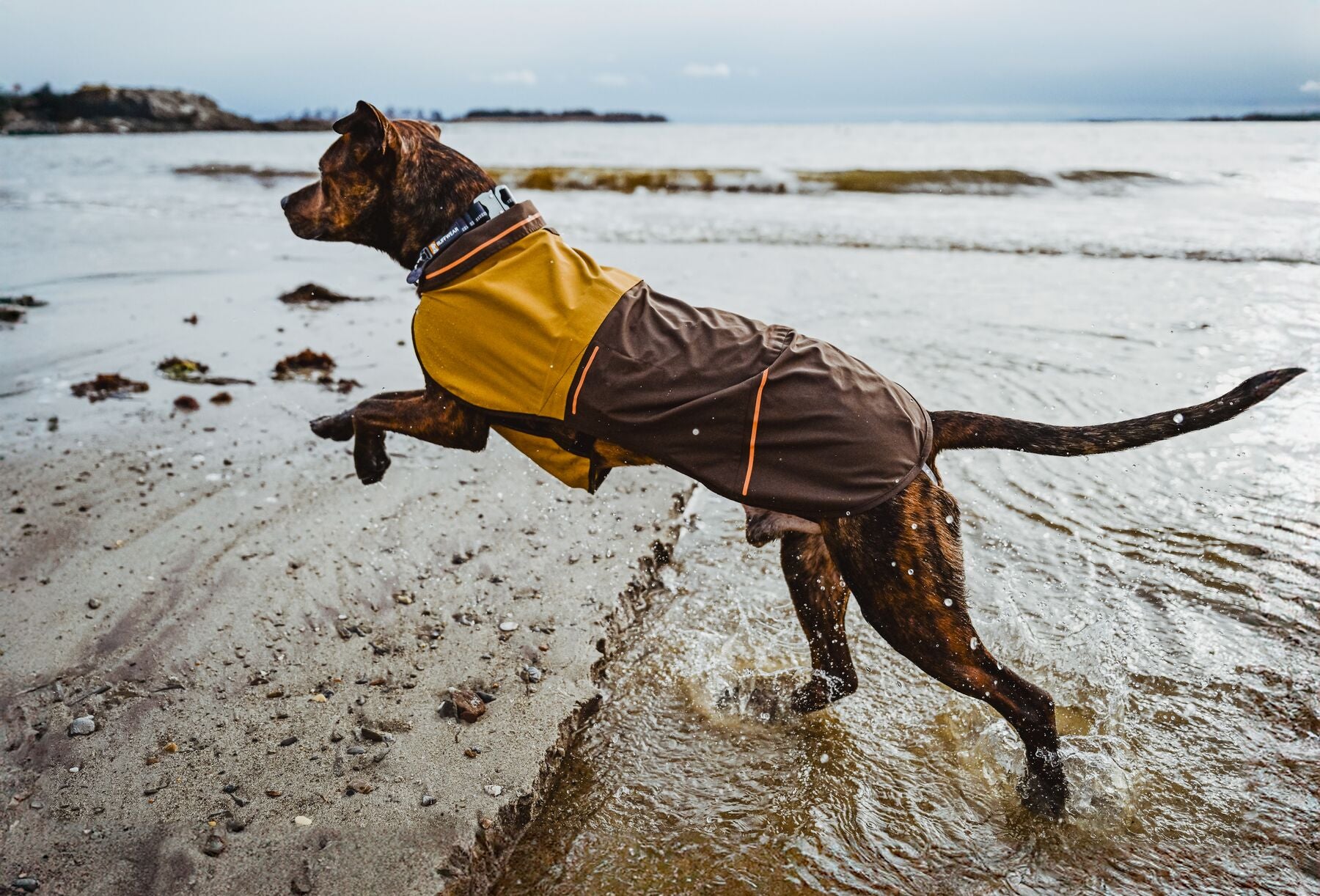 Impermeable Para Perros Sun Shower™ - Resistente al Agua y Viento - Café (Earth Brown) | Ruffwear®