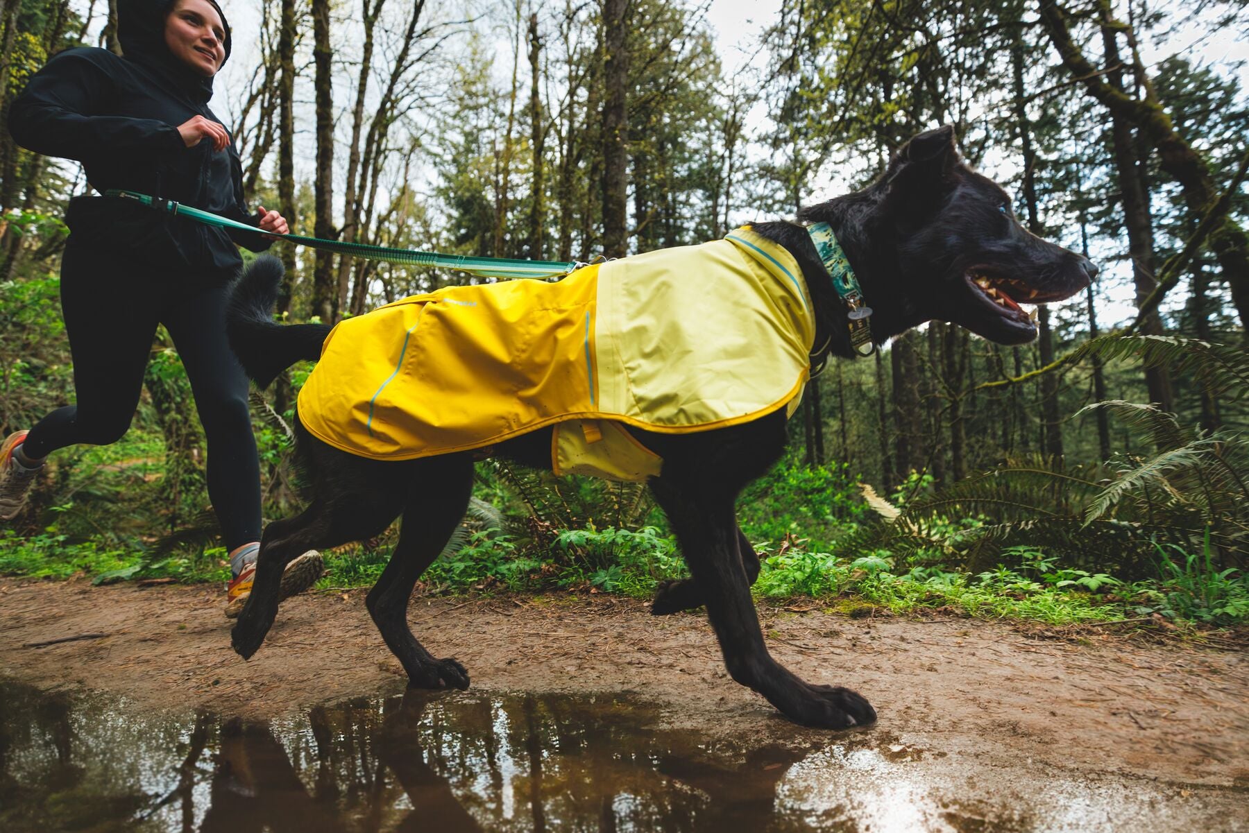 Impermeable Para Perros Sun Shower™ - Resistente al Agua y Viento - Café (Earth Brown) | Ruffwear®