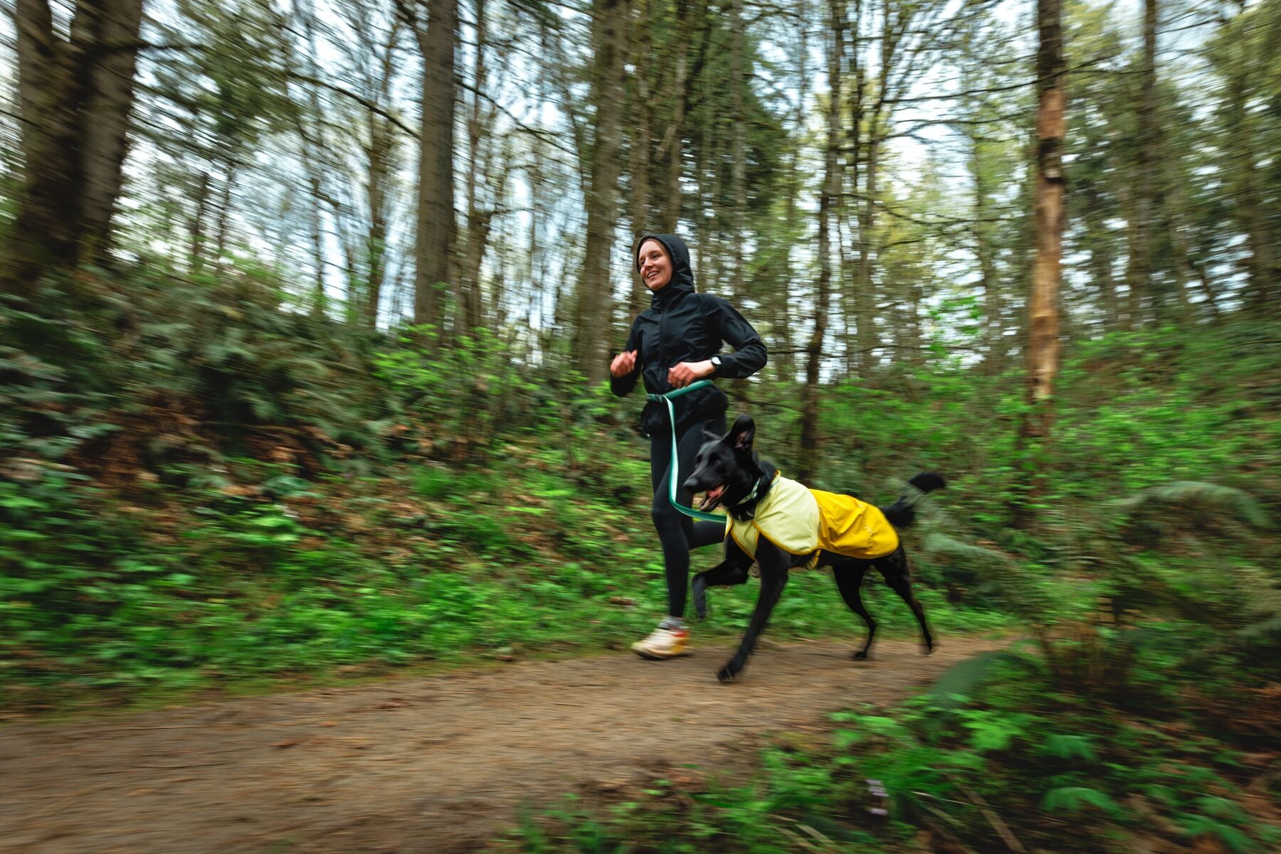 Impermeable Para Perros Sun Shower™ - Resistente al Agua y Viento - Amarillo (Mineral Yellow) | Ruffwear®