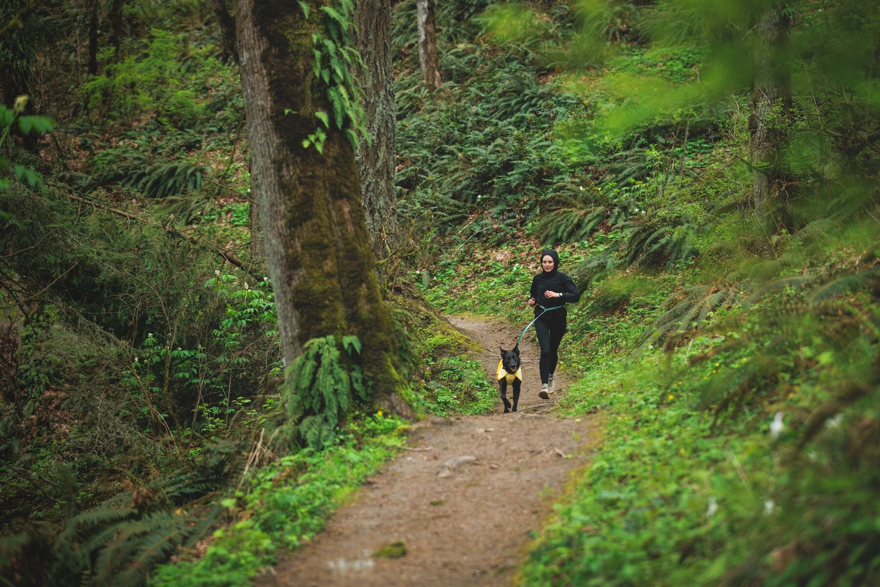 Impermeable Para Perros Sun Shower™ - Resistente al Agua y Viento - Café (Earth Brown) | Ruffwear®