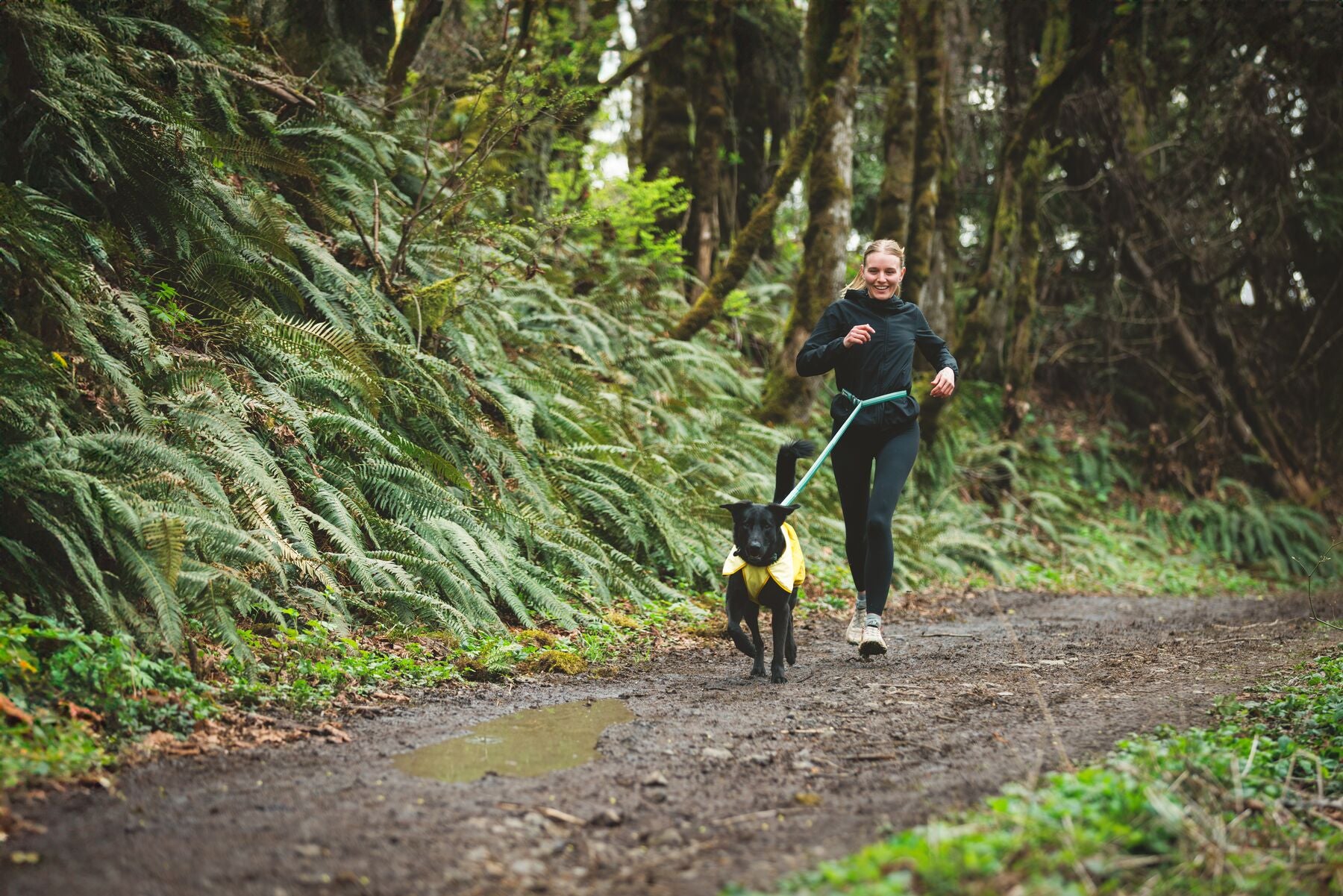 Impermeable Para Perros Sun Shower™ - Resistente al Agua y Viento - Amarillo (Mineral Yellow) | Ruffwear®