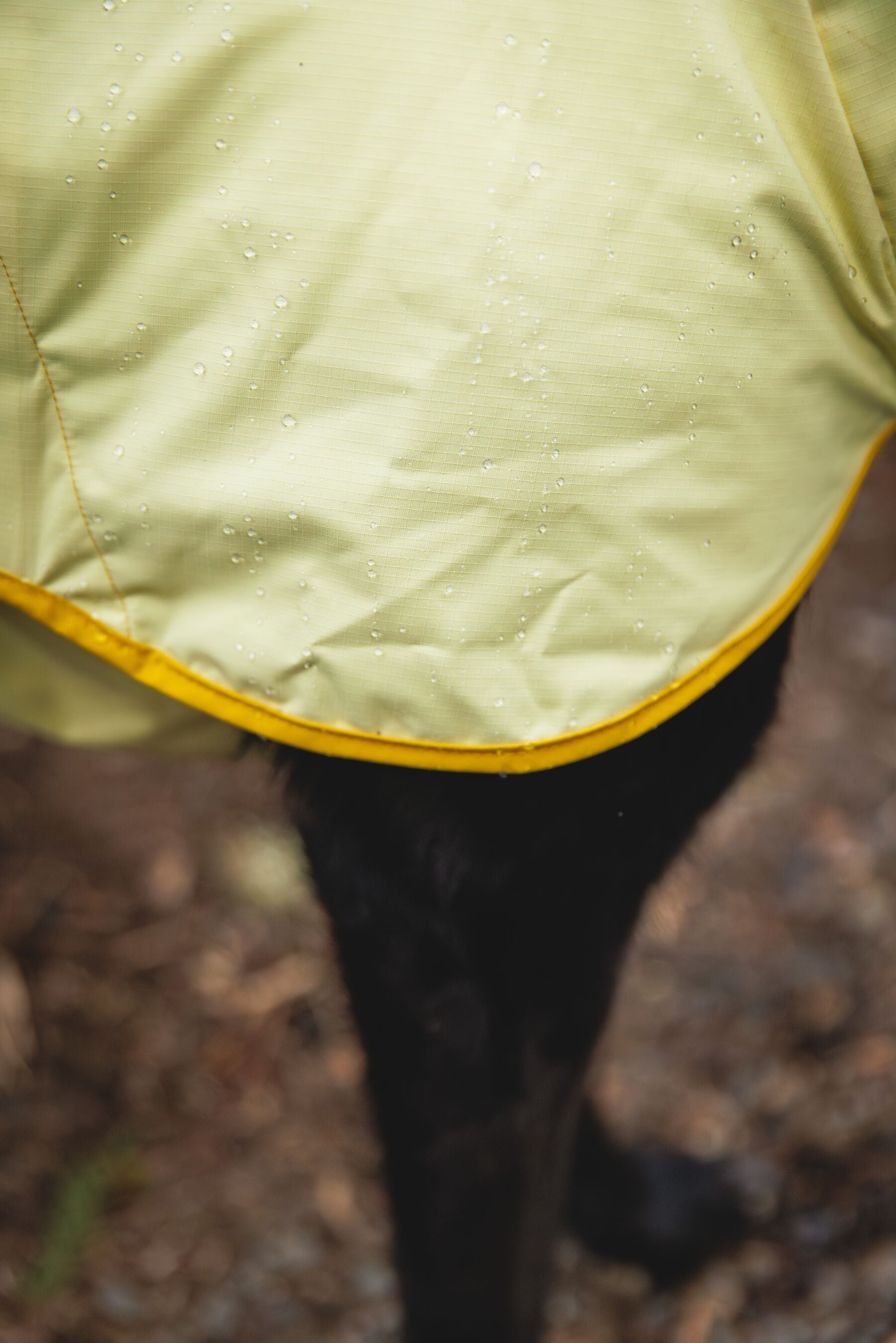 Impermeable Para Perros Sun Shower™ - Resistente al Agua y Viento - Café (Earth Brown) | Ruffwear®