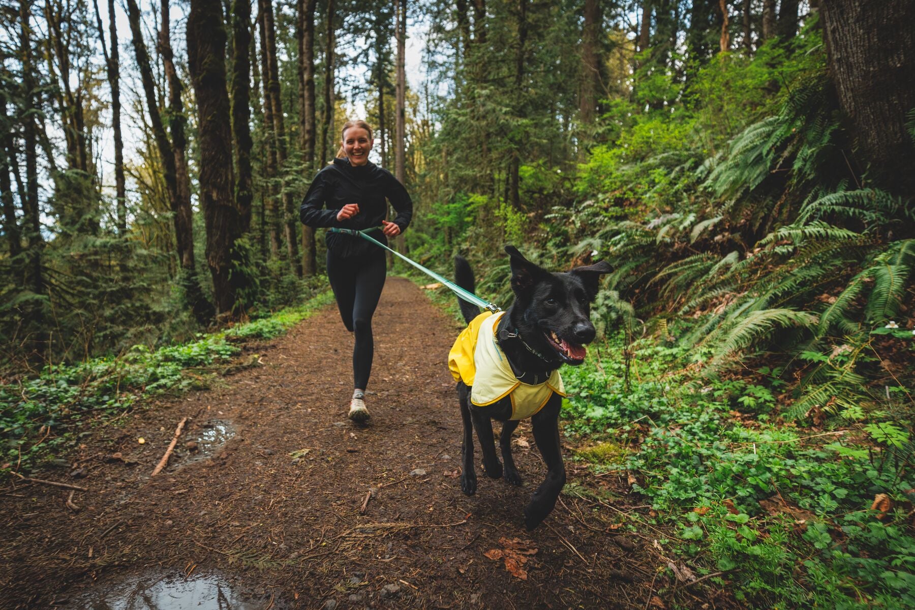 Impermeable Para Perros Sun Shower™ - Resistente al Agua y Viento - Amarillo (Mineral Yellow) | Ruffwear®