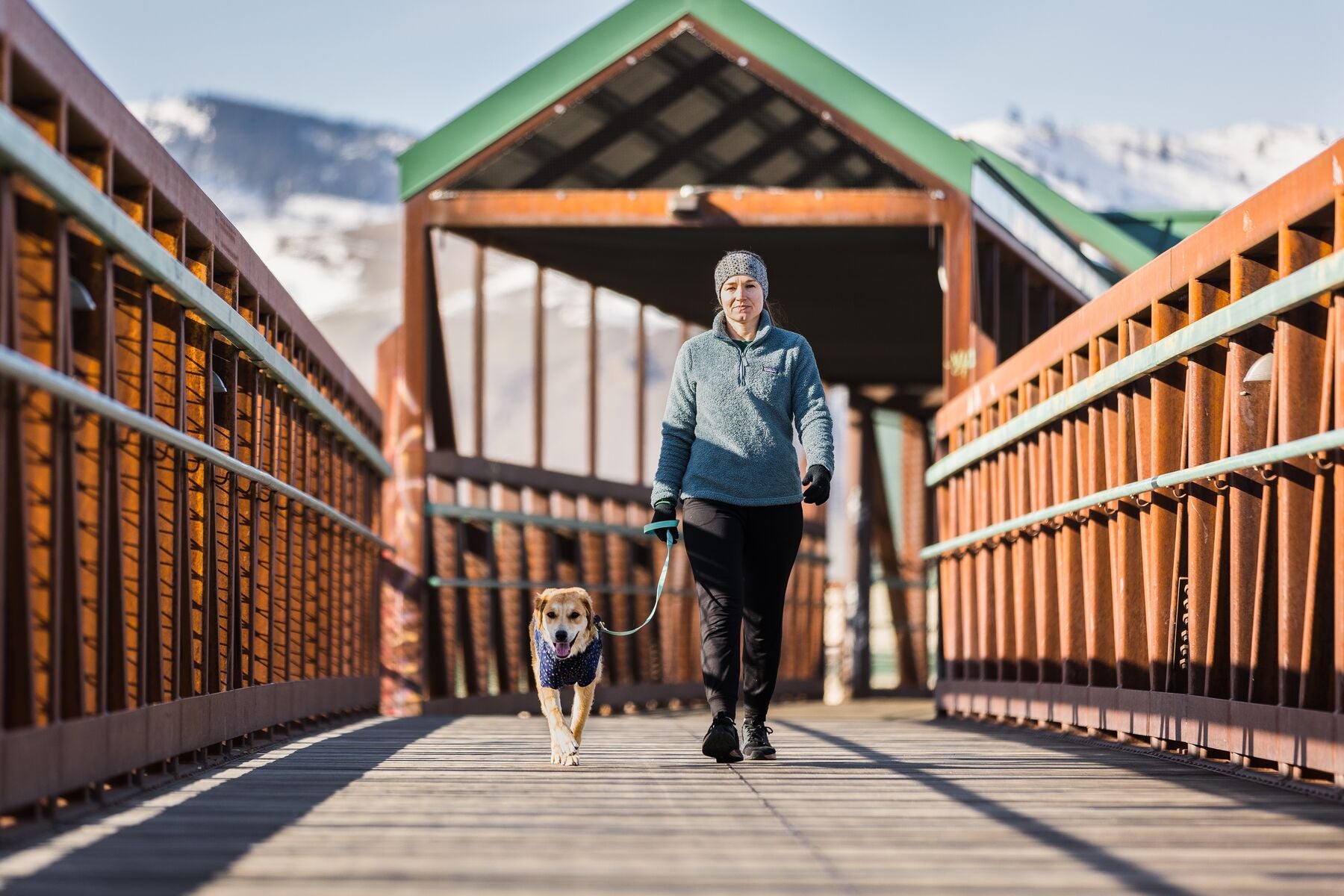 Climate Changer Galaxy Su ter de Felpa para Perros de Ruffwear