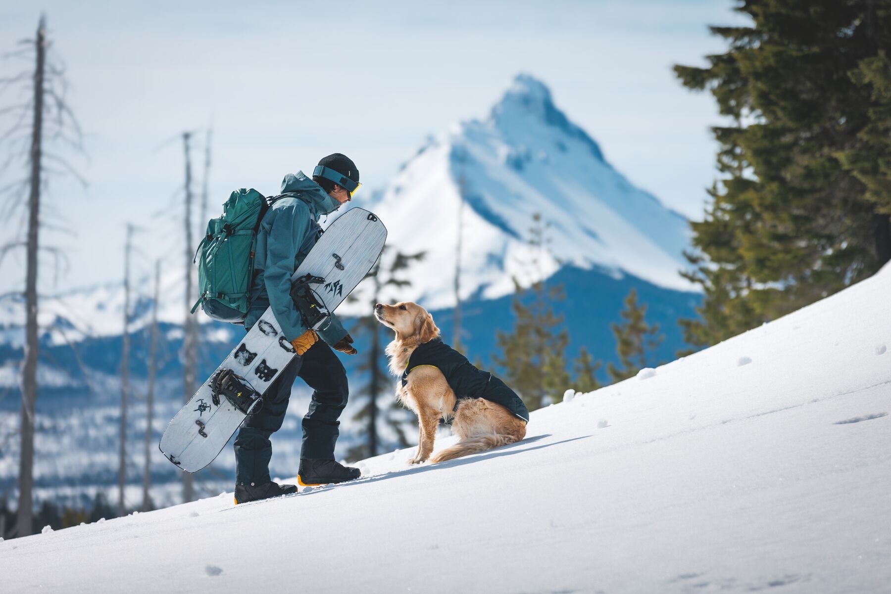 Chamarra para Perros Quinzee™ - Acolchada y Plegable - Negra (Obsidian Black) | Ruffwear®