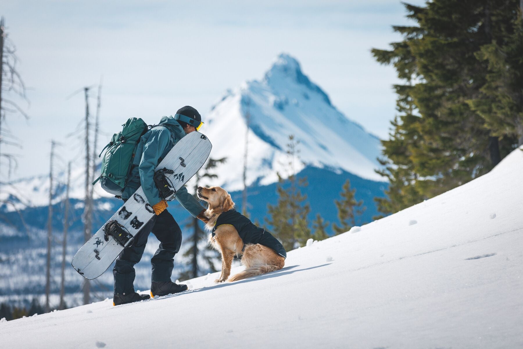 Chamarra para Perros Quinzee™ - Acolchada y Plegable - Verde Piedra (River Rock Green) | Ruffwear®