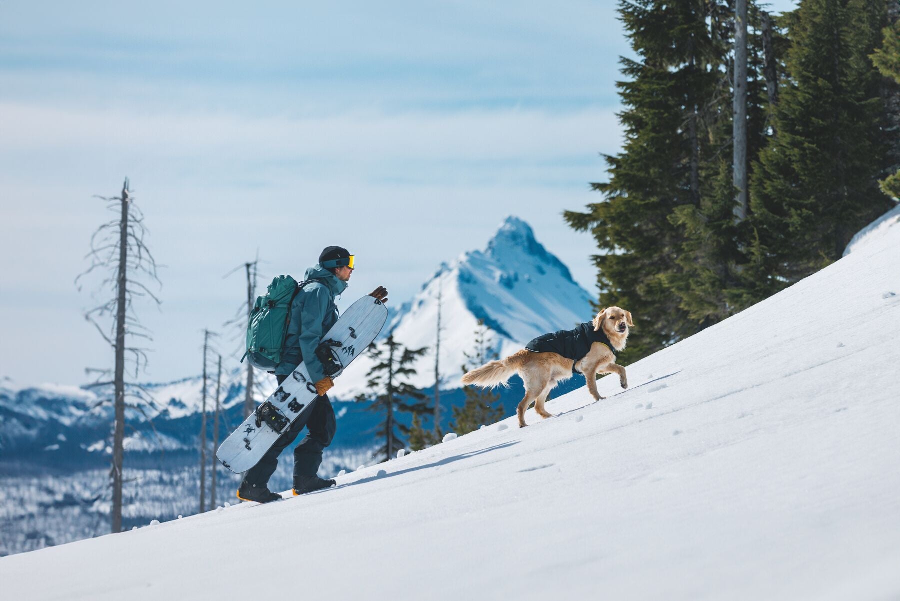 Chamarra para Perros Quinzee™ - Acolchada y Plegable - Verde Piedra (River Rock Green) | Ruffwear®