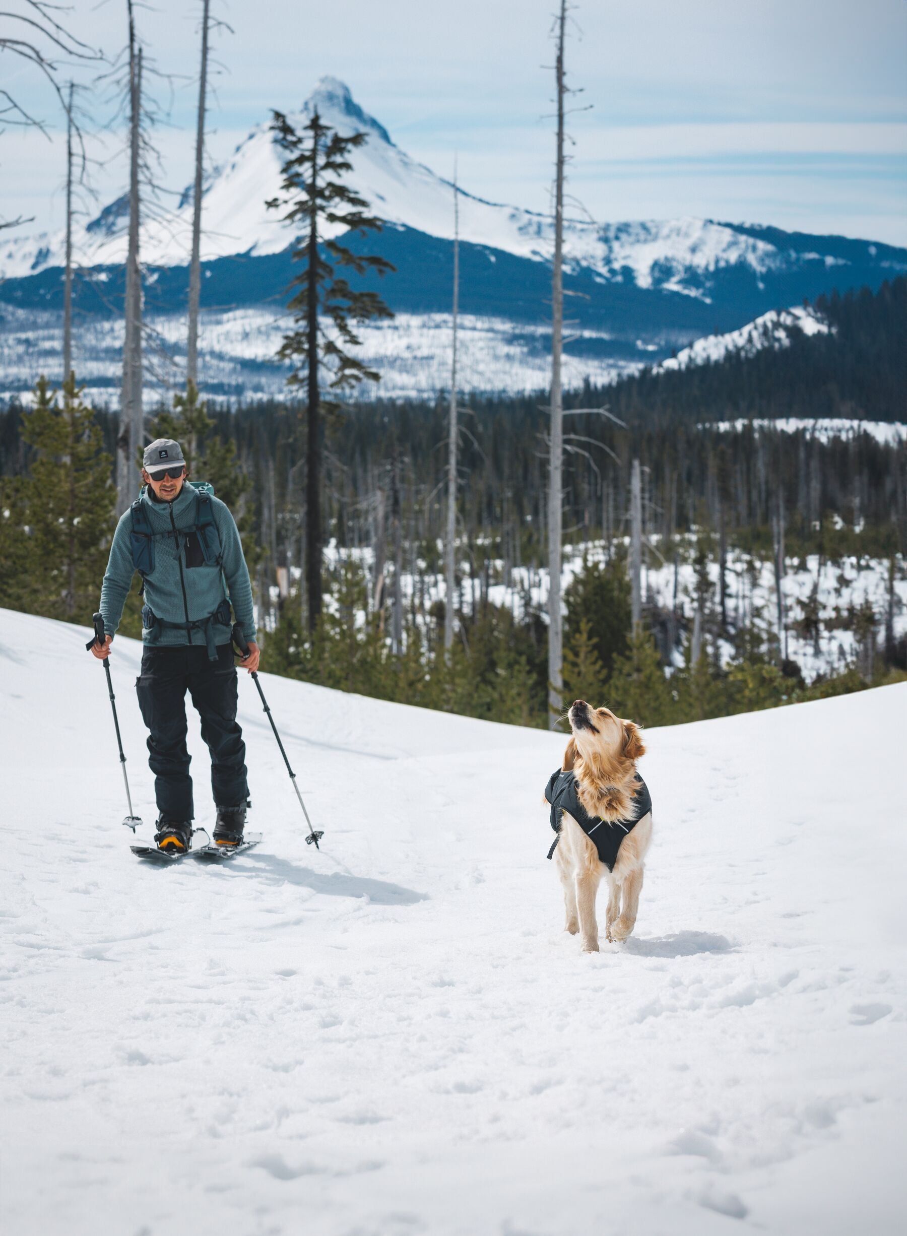 Chamarra para Perros Quinzee™ - Acolchada y Plegable - Verde Piedra (River Rock Green) | Ruffwear®