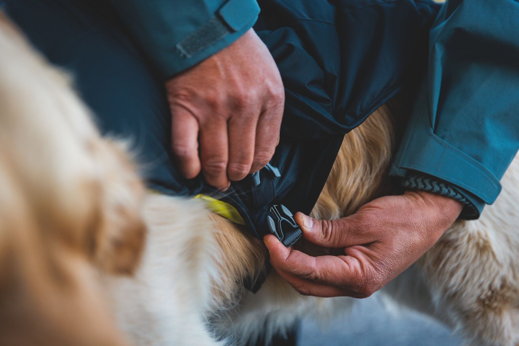 Chamarra para Perros Quinzee™ - Acolchada y Plegable - Negra (Obsidian Black) | Ruffwear®