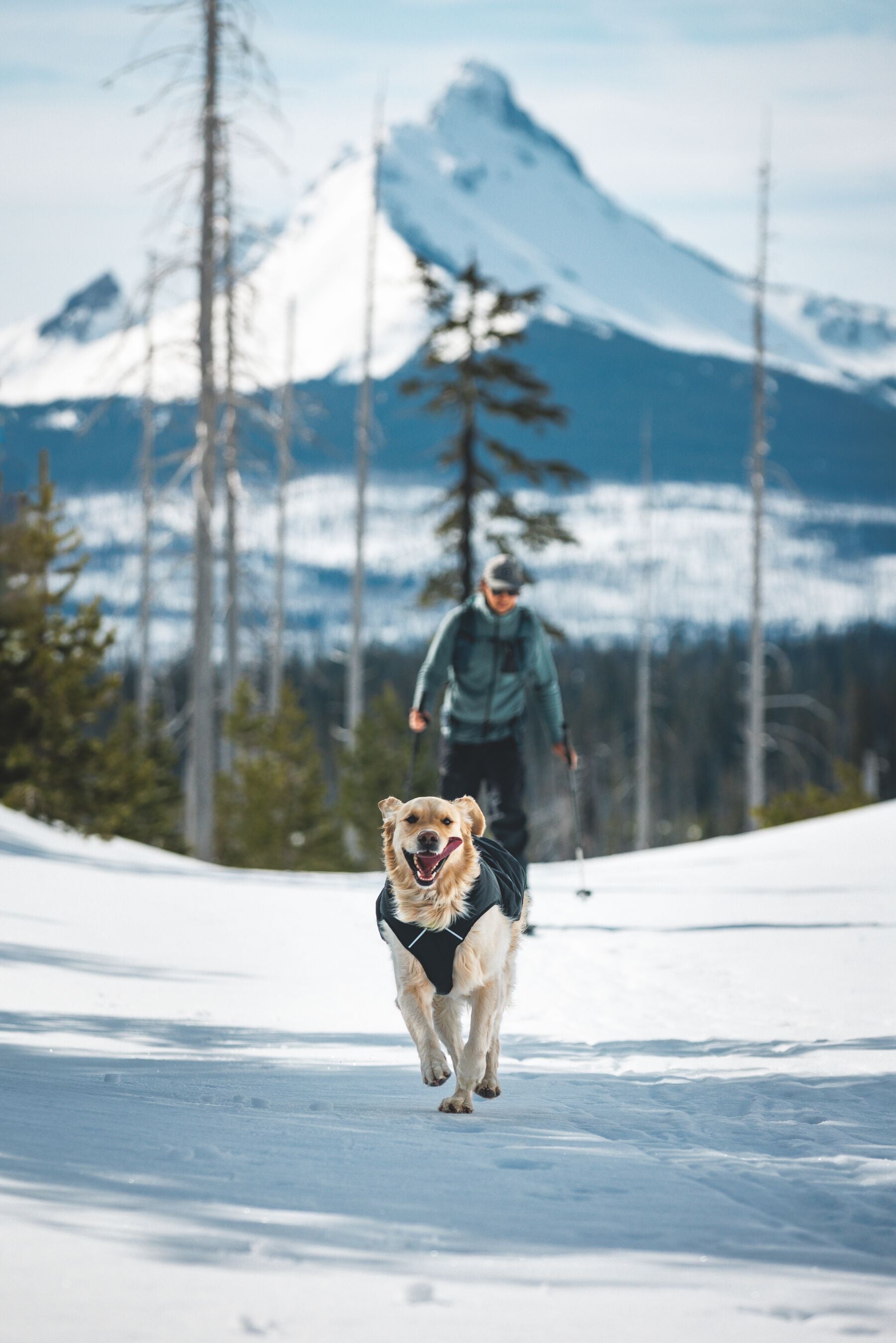 Chamarra para Perros Quinzee™ - Acolchada y Plegable - Negra (Obsidian Black) | Ruffwear®