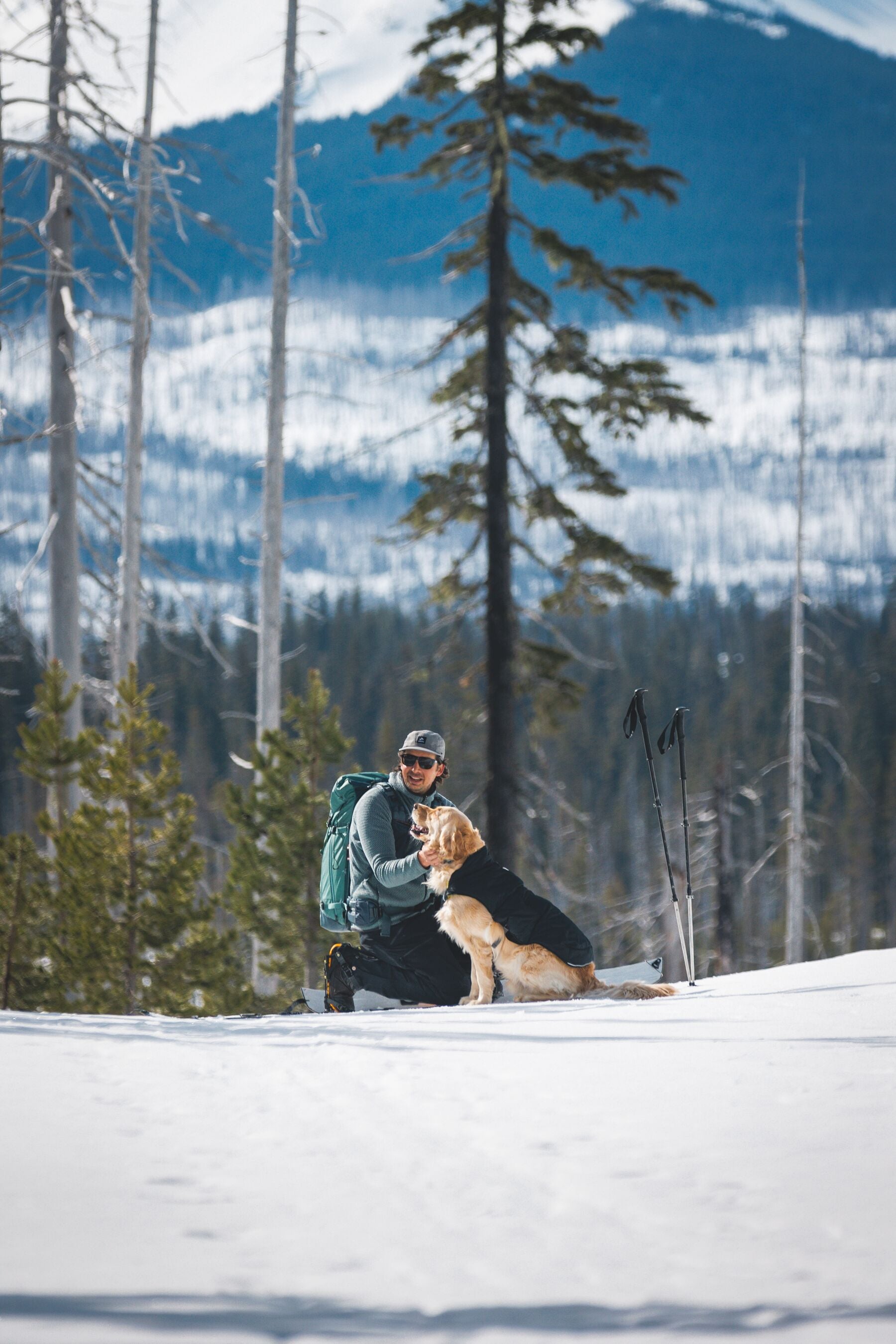 Chamarra para Perros Quinzee™ - Acolchada y Plegable - Verde Piedra (River Rock Green) | Ruffwear®