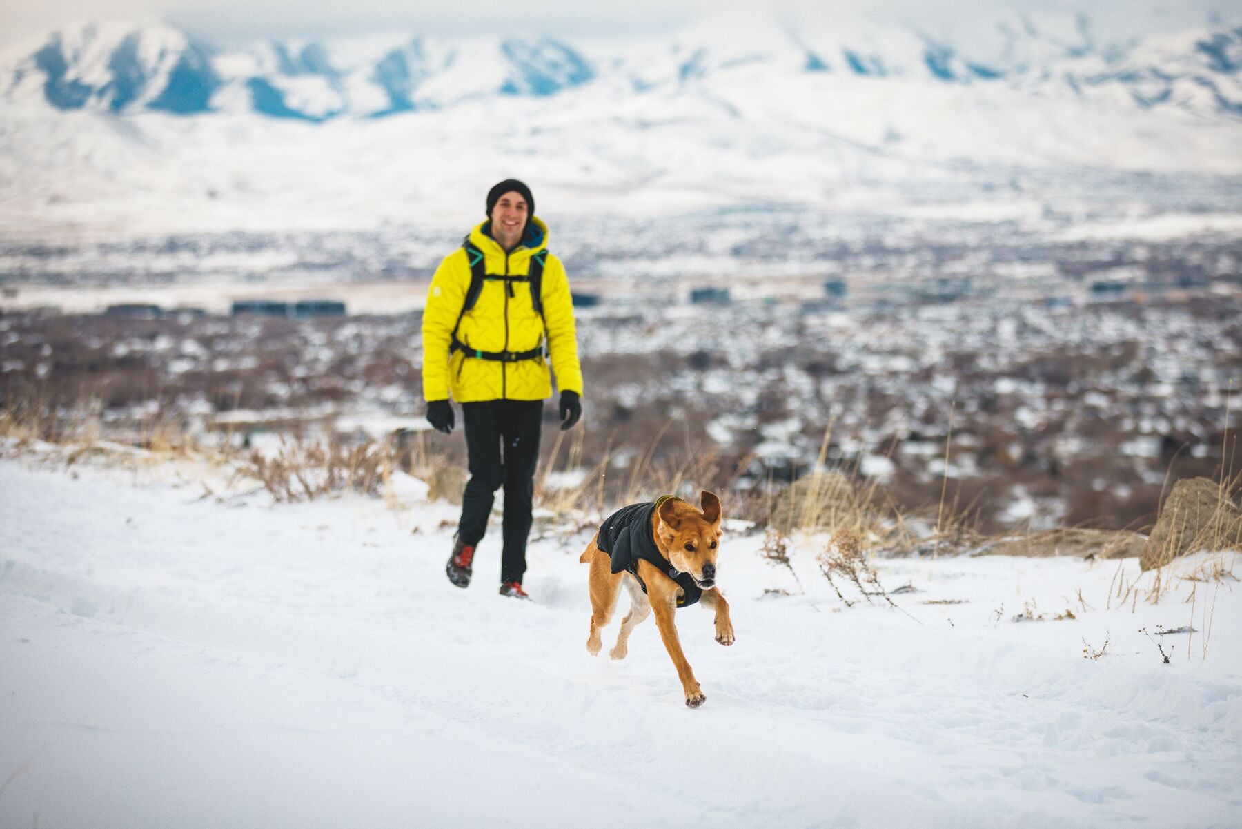 Chamarra para Perros Quinzee™ - Acolchada y Plegable - Verde Piedra (River Rock Green) | Ruffwear®