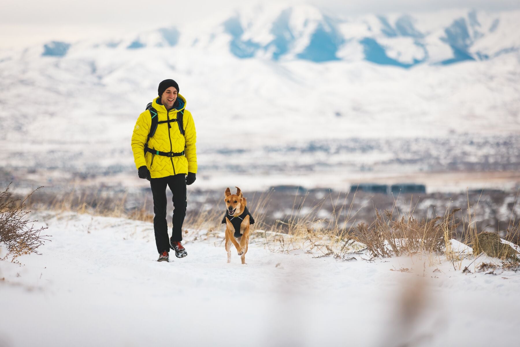 Chamarra para Perros Quinzee™ - Acolchada y Plegable - Verde Piedra (River Rock Green) | Ruffwear®