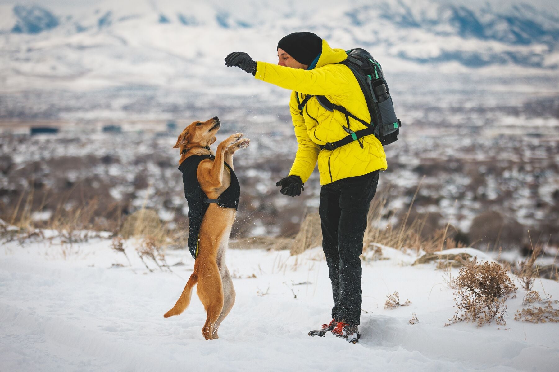 Chamarra para Perros Quinzee™ - Acolchada y Plegable - Negra (Obsidian Black) | Ruffwear®