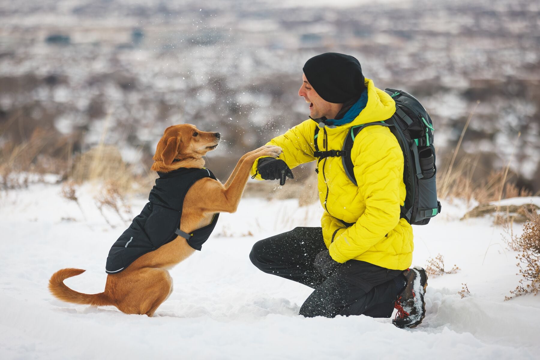 Chamarra para Perros Quinzee™ - Acolchada y Plegable - Negra (Obsidian Black) | Ruffwear®