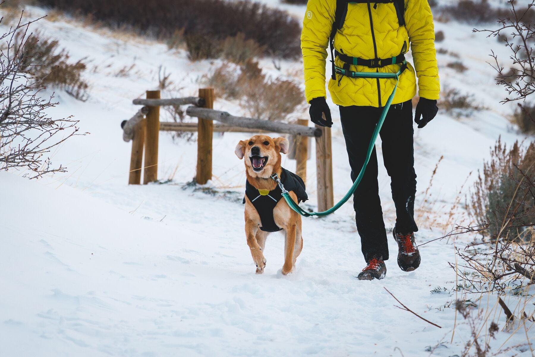 Chamarra para Perros Quinzee™ - Acolchada y Plegable - Negra (Obsidian Black) | Ruffwear®