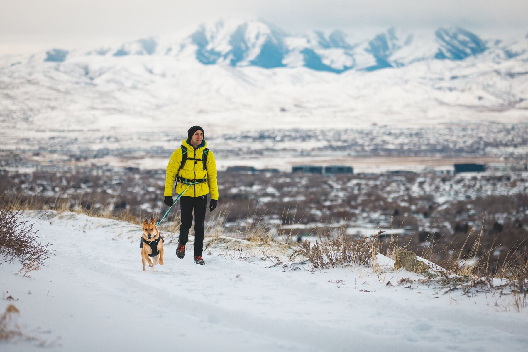 Chamarra para Perros Quinzee™ - Acolchada y Plegable - Verde Piedra (River Rock Green) | Ruffwear®