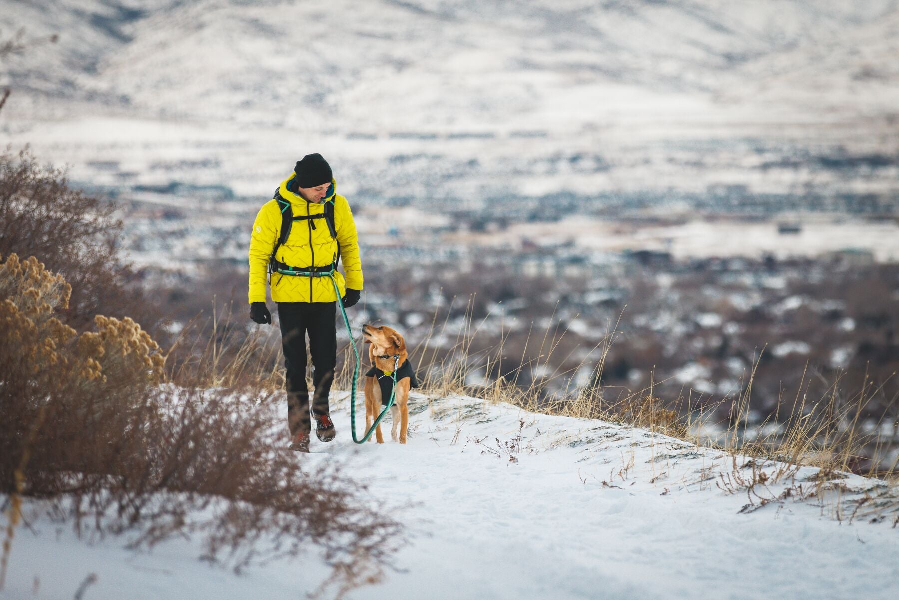 Chamarra para Perros Quinzee™ - Acolchada y Plegable - Verde Piedra (River Rock Green) | Ruffwear®