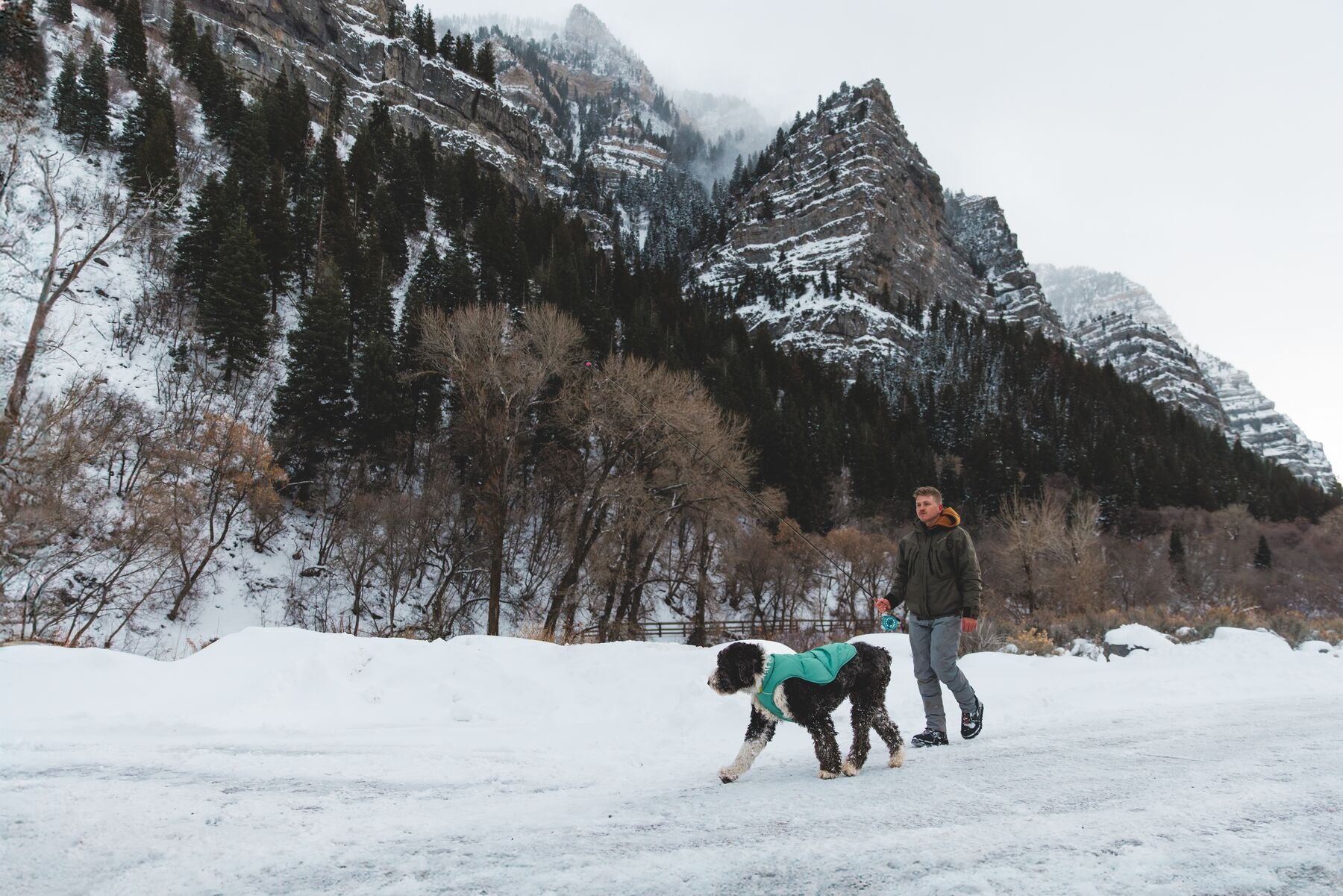 Chamarra para Perros Quinzee™ - Acolchada y Plegable - Verde Piedra (River Rock Green) | Ruffwear®