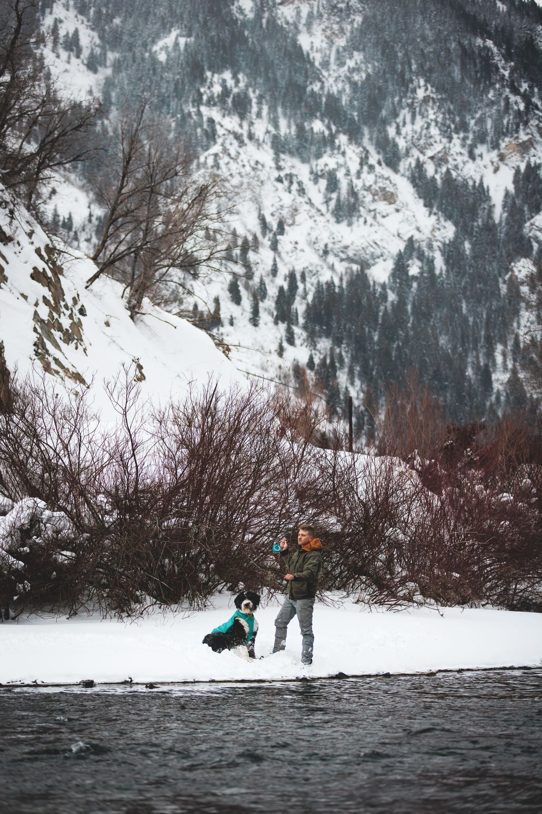 Chamarra para Perros Quinzee™ - Acolchada y Plegable - Verde Piedra (River Rock Green) | Ruffwear®