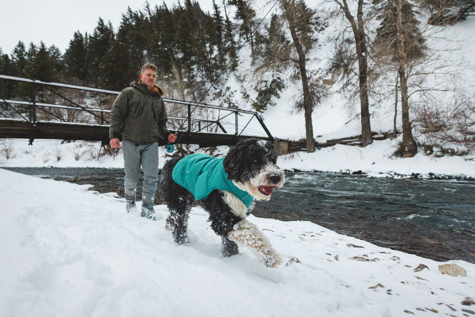 Chamarra para Perros Quinzee™ - Acolchada y Plegable - Verde Piedra (River Rock Green) | Ruffwear®