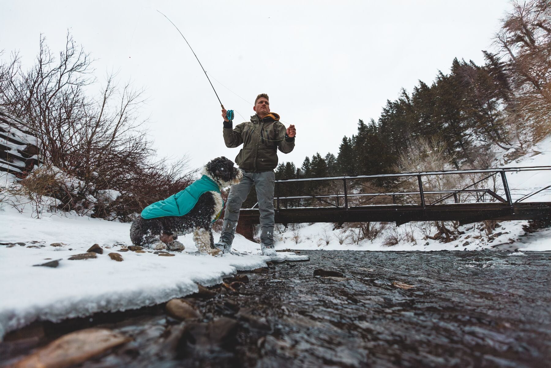 Chamarra para Perros Quinzee™ - Acolchada y Plegable - Verde Piedra (River Rock Green) | Ruffwear®