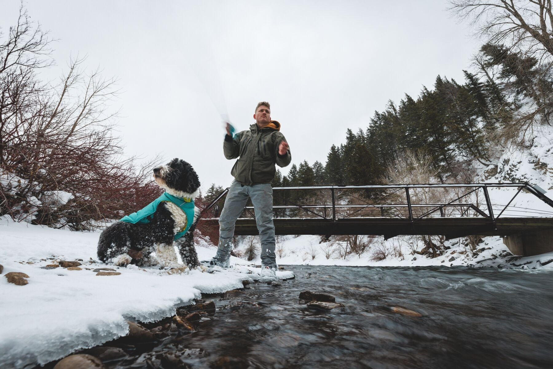 Chamarra para Perros Quinzee™ - Acolchada y Plegable - Verde Piedra (River Rock Green) | Ruffwear®