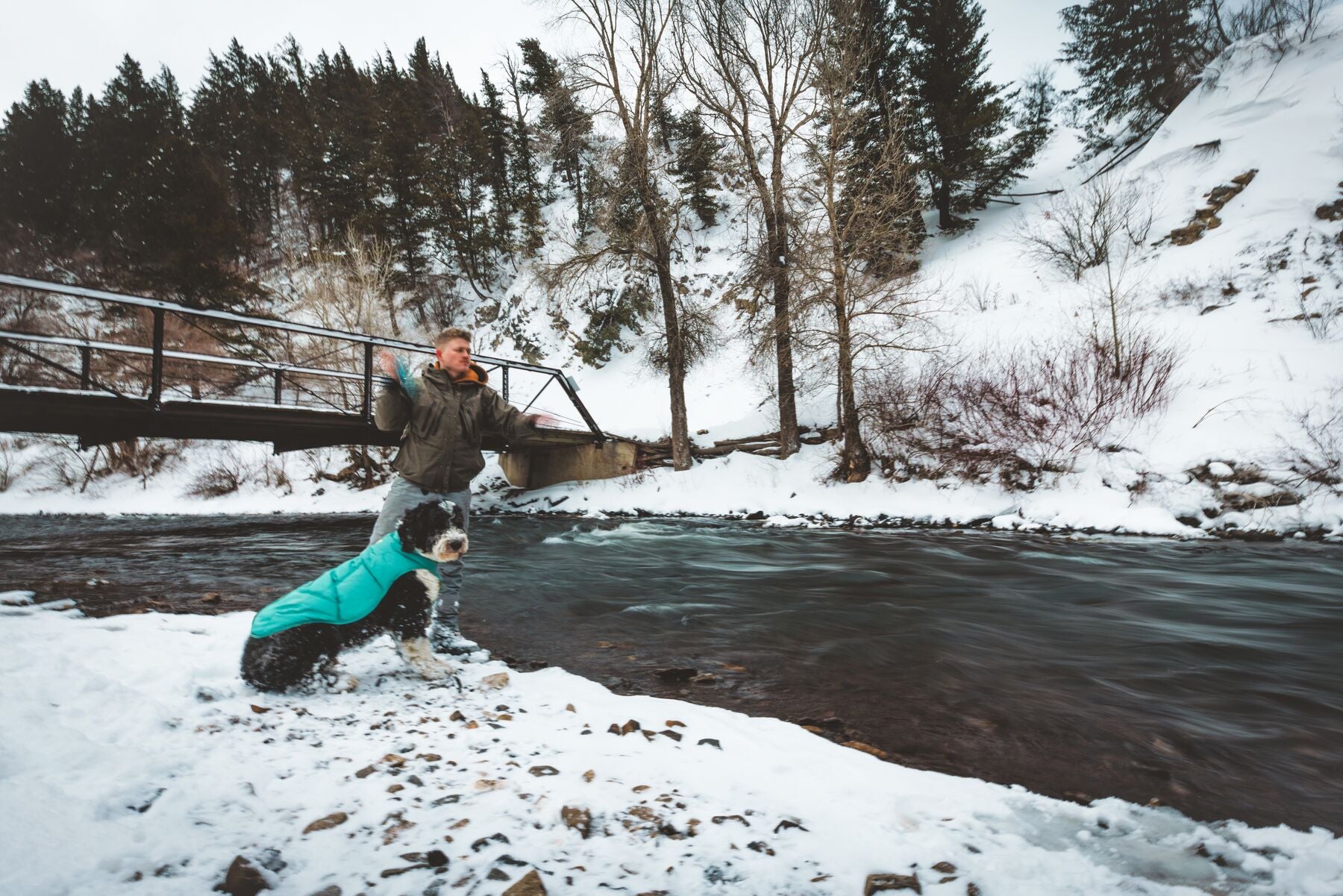 Chamarra para Perros Quinzee™ - Acolchada y Plegable - Verde Piedra (River Rock Green) | Ruffwear®