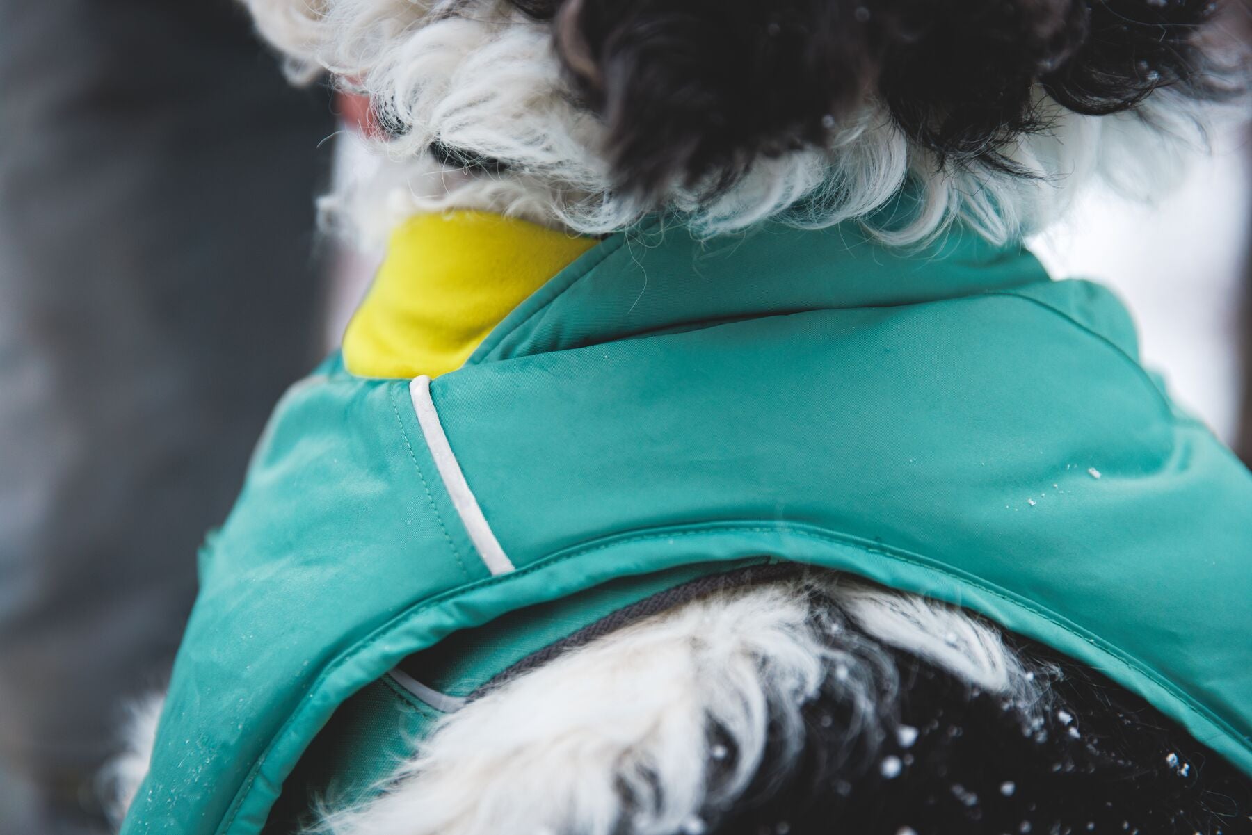 Chamarra para Perros Quinzee™ - Acolchada y Plegable - Verde Piedra (River Rock Green) | Ruffwear®