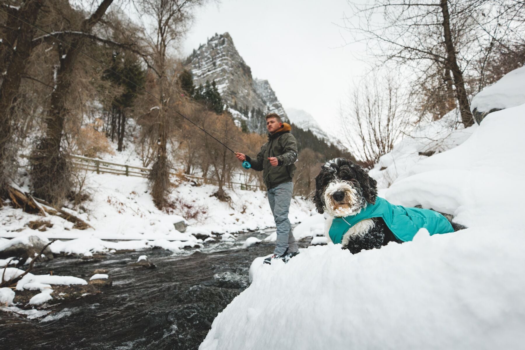 Chamarra para Perros Quinzee™ - Acolchada y Plegable - Verde Piedra (River Rock Green) | Ruffwear®