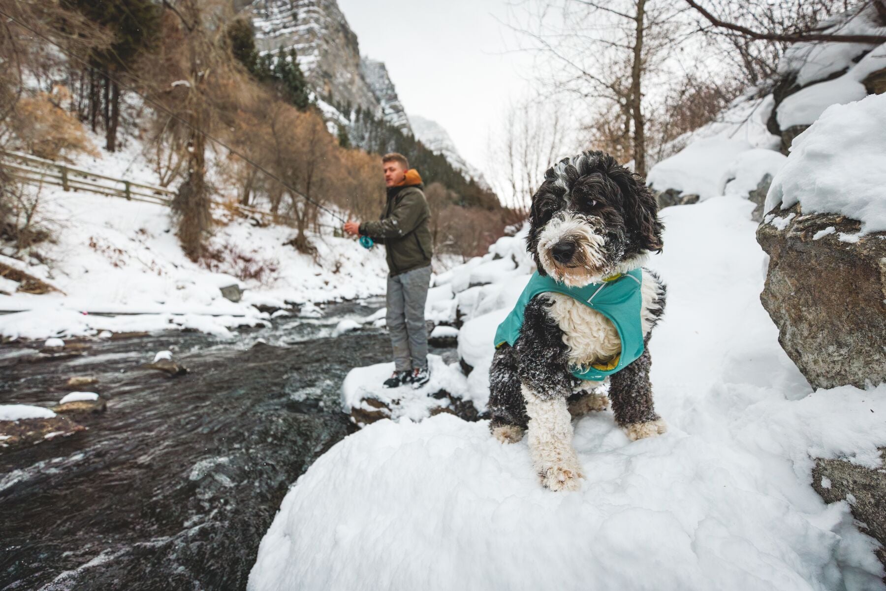 Chamarra para Perros Quinzee™ - Acolchada y Plegable - Verde Piedra (River Rock Green) | Ruffwear®