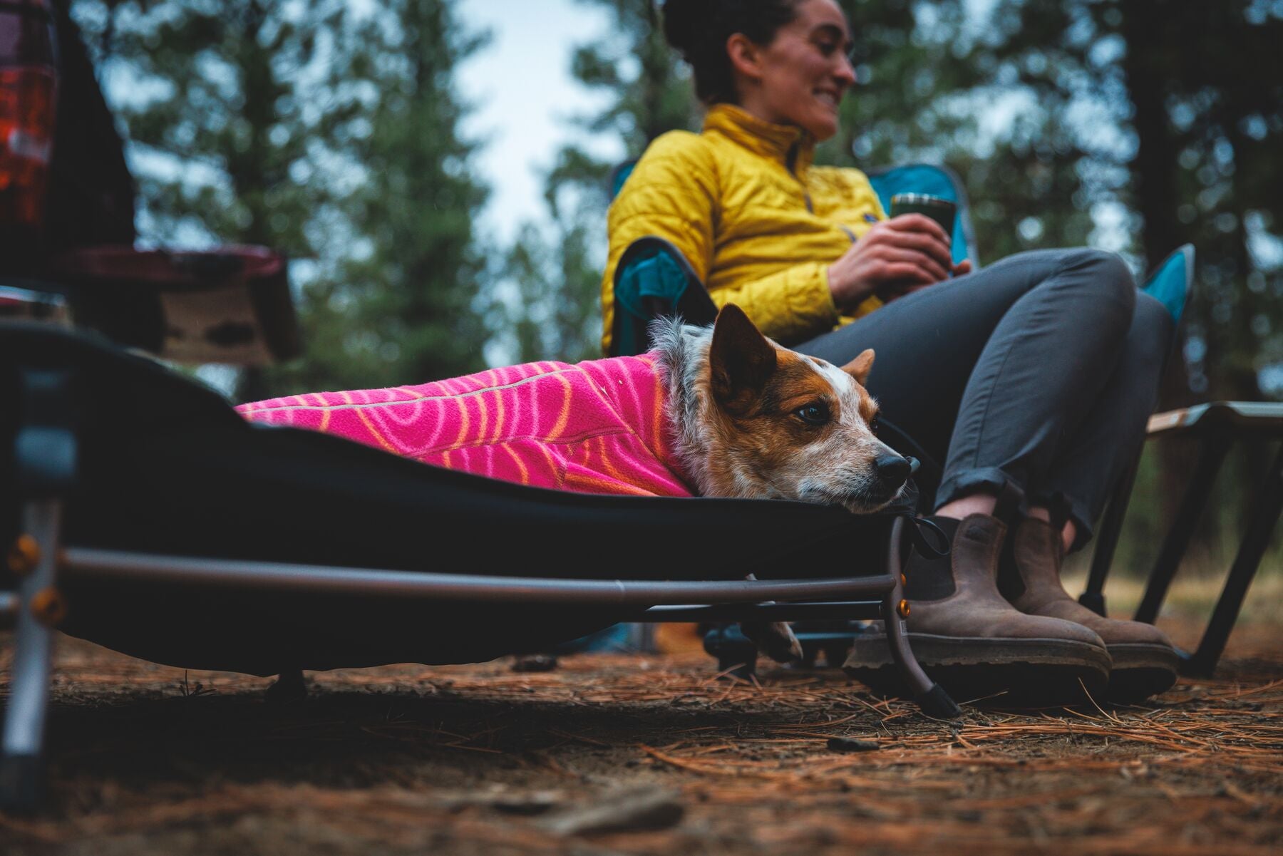 Cama Elevada, Portátil y Ligera para Perros Mt. EverRest™ | Ruffwear