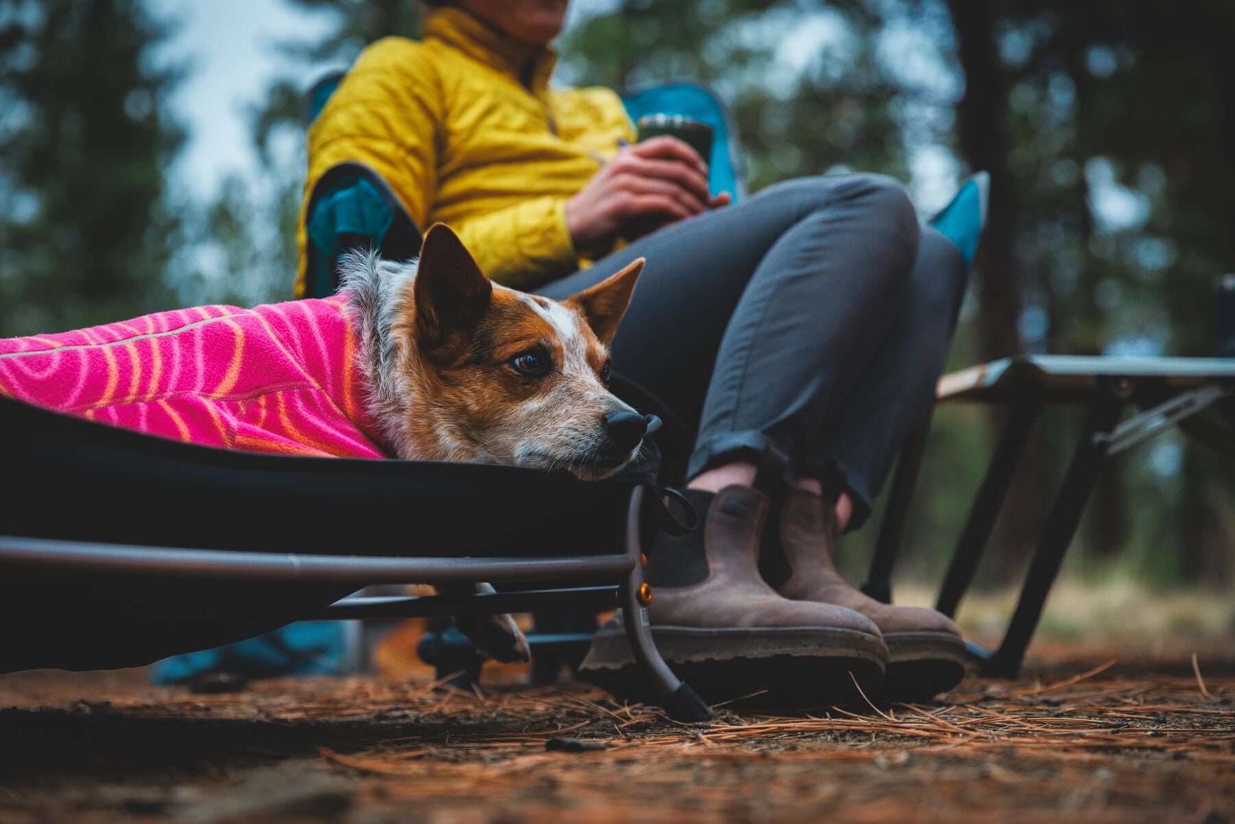 Cama Elevada, Portátil y Ligera para Perros Mt. EverRest™ | Ruffwear