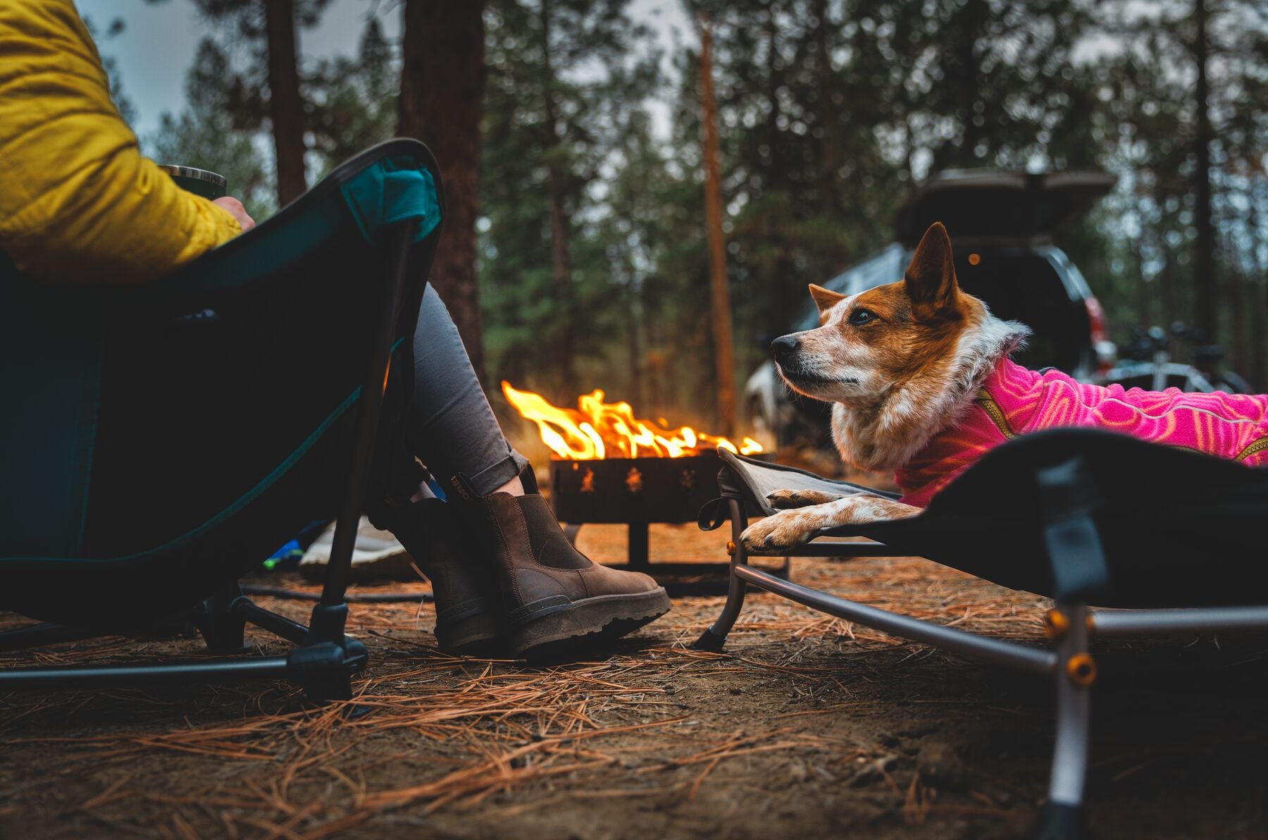 Cama Elevada, Portátil y Ligera para Perros Mt. EverRest™ | Ruffwear