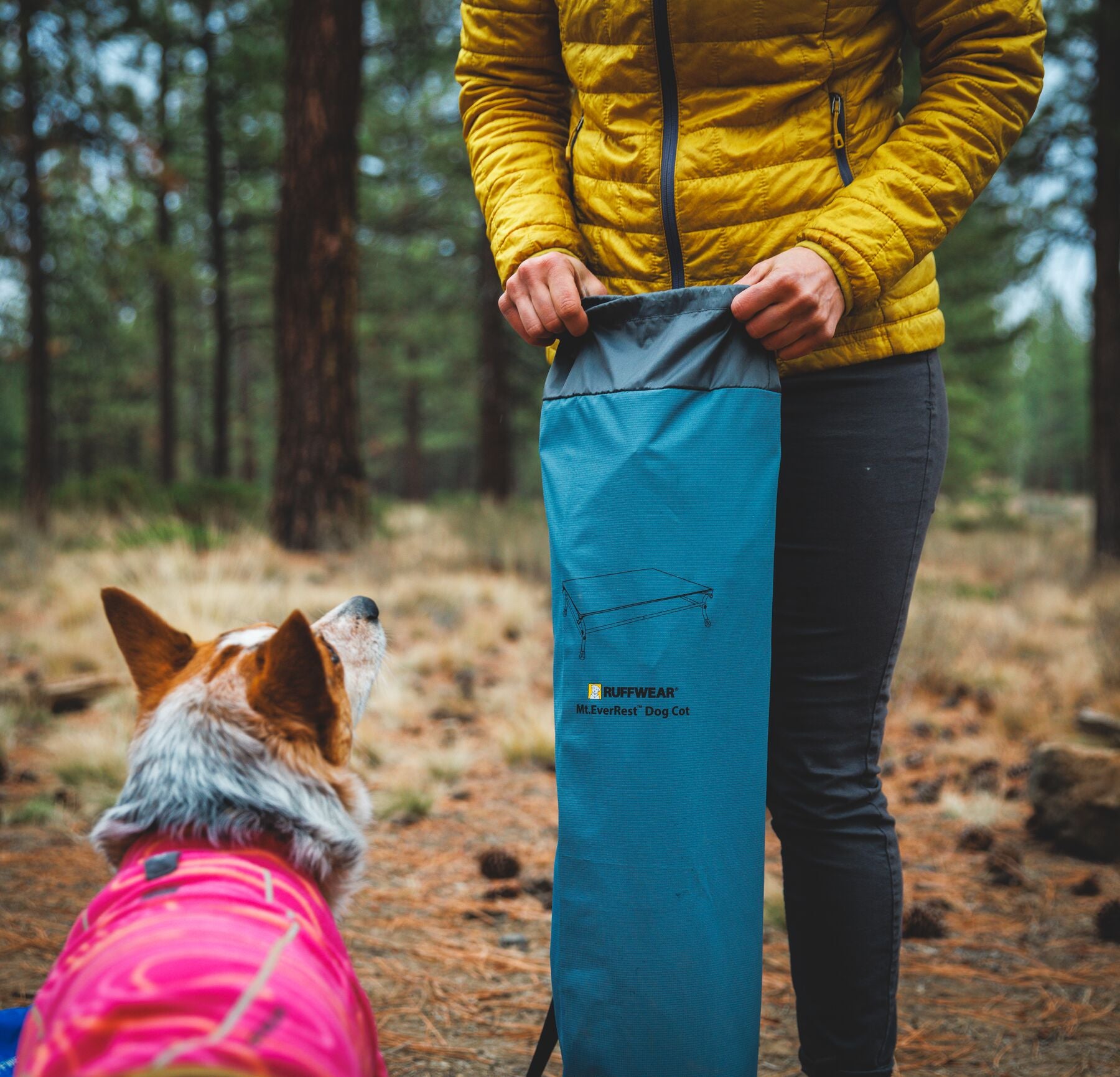 Cama Elevada, Portátil y Ligera para Perros Mt. EverRest™ | Ruffwear