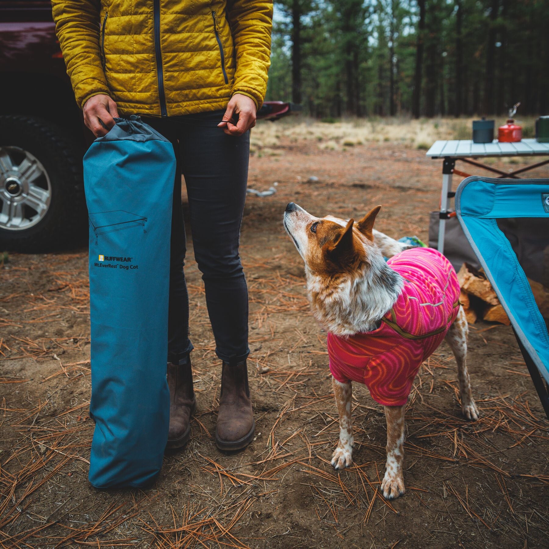 Cama Elevada, Portátil y Ligera para Perros Mt. EverRest™ | Ruffwear